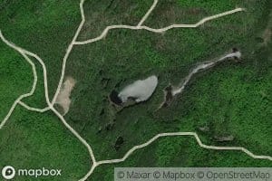 Kinglet Lake