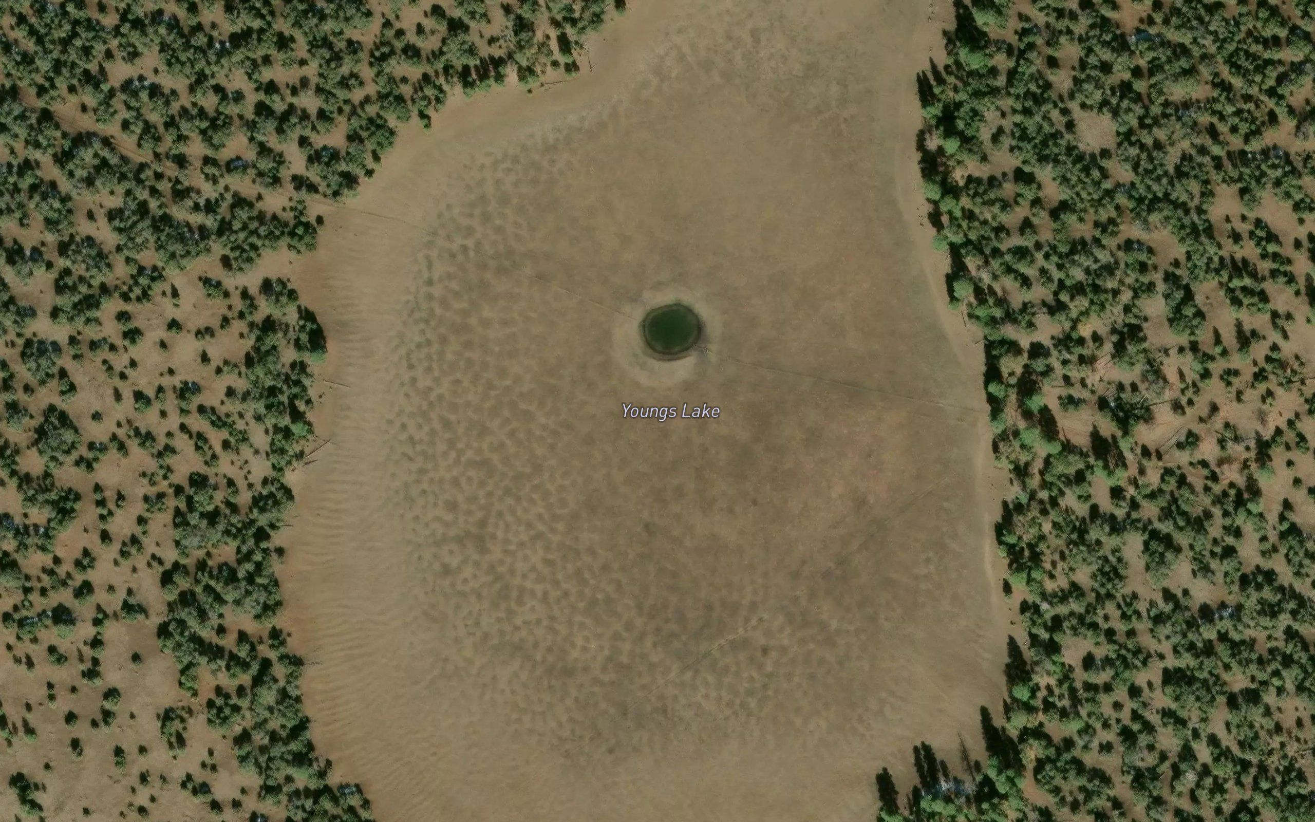 Youngs Lake