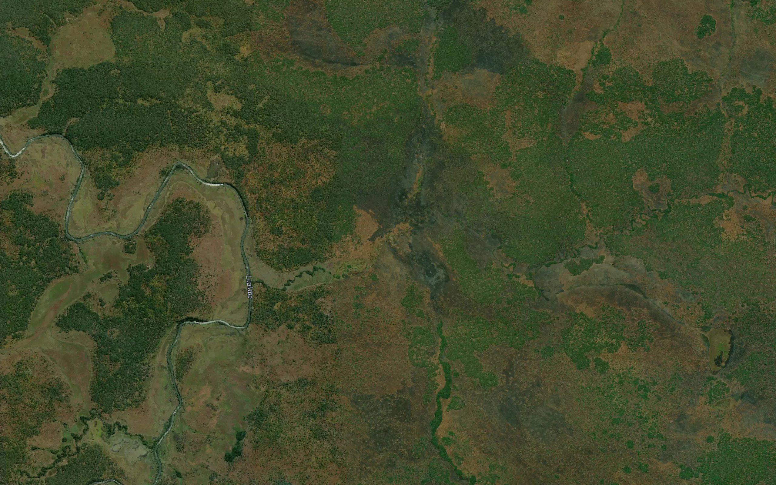 Kasora