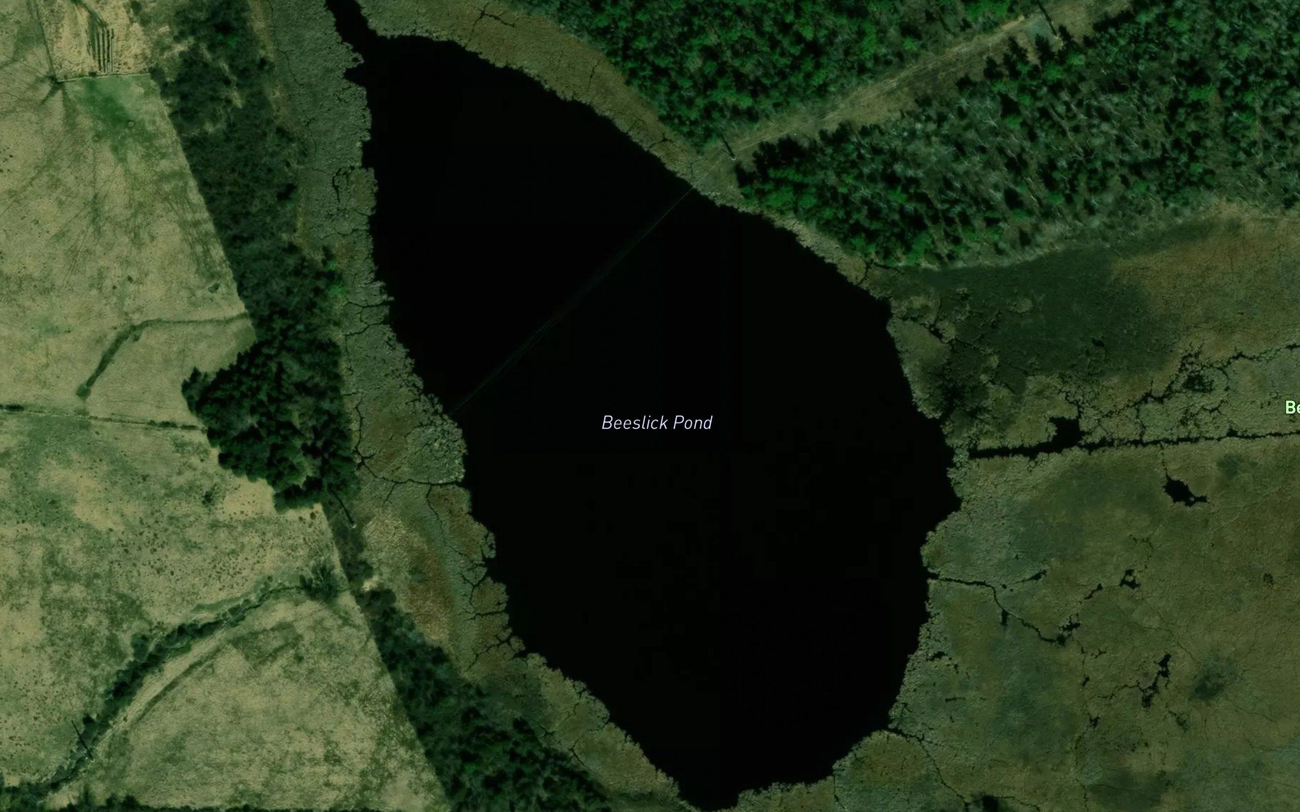 Beeslick Pond