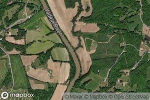 Reedy Creek
