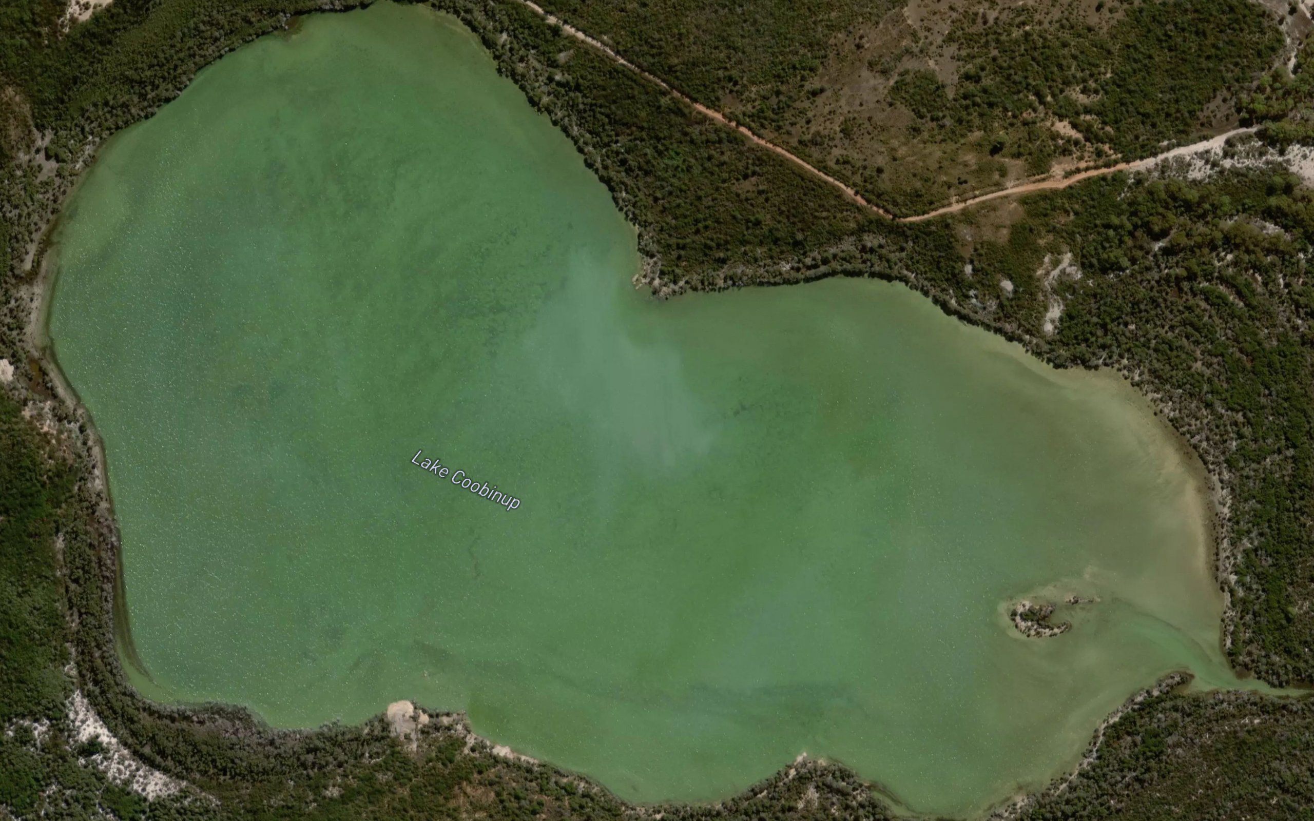 Lake Cobinup