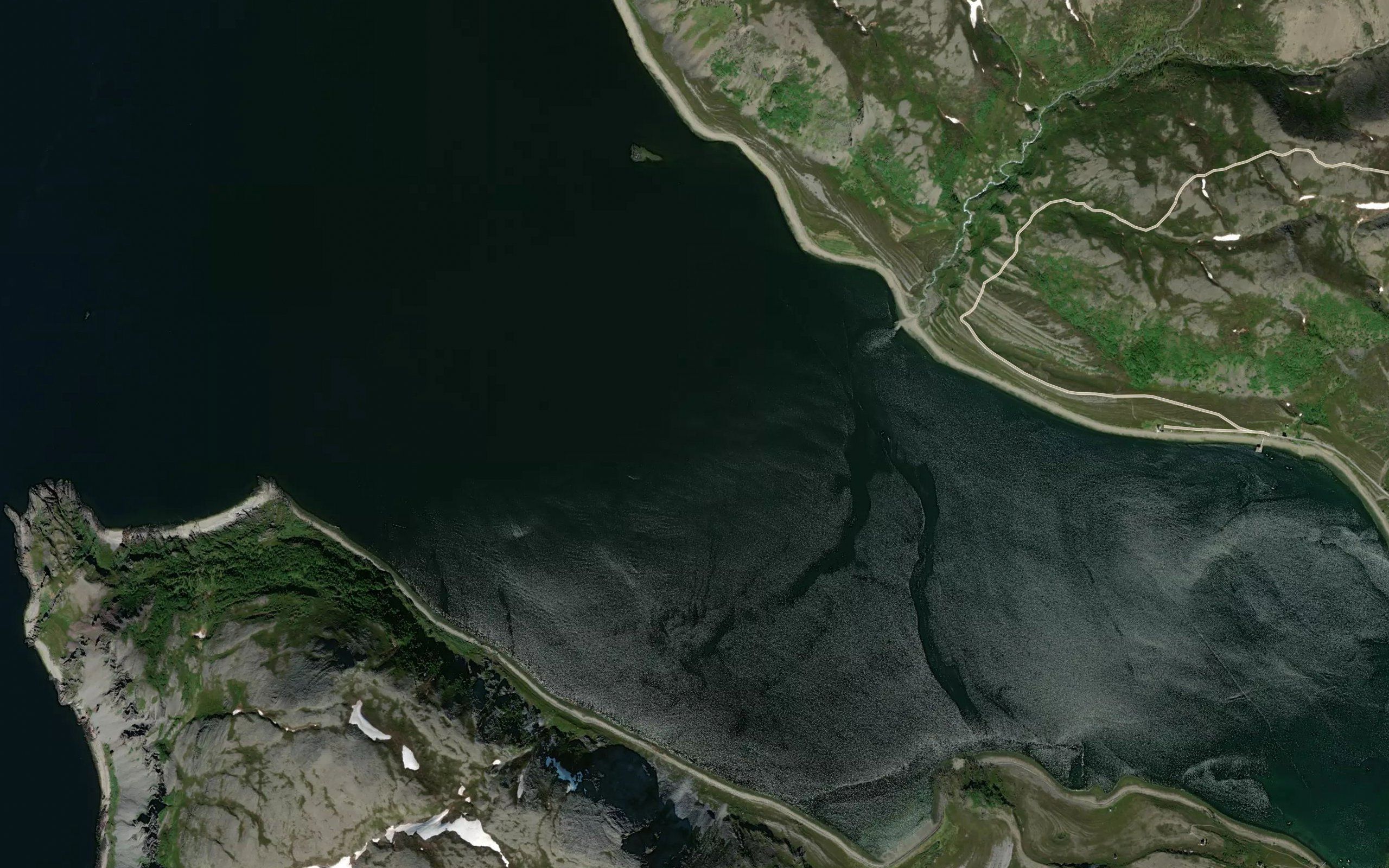 Gulgofjorden