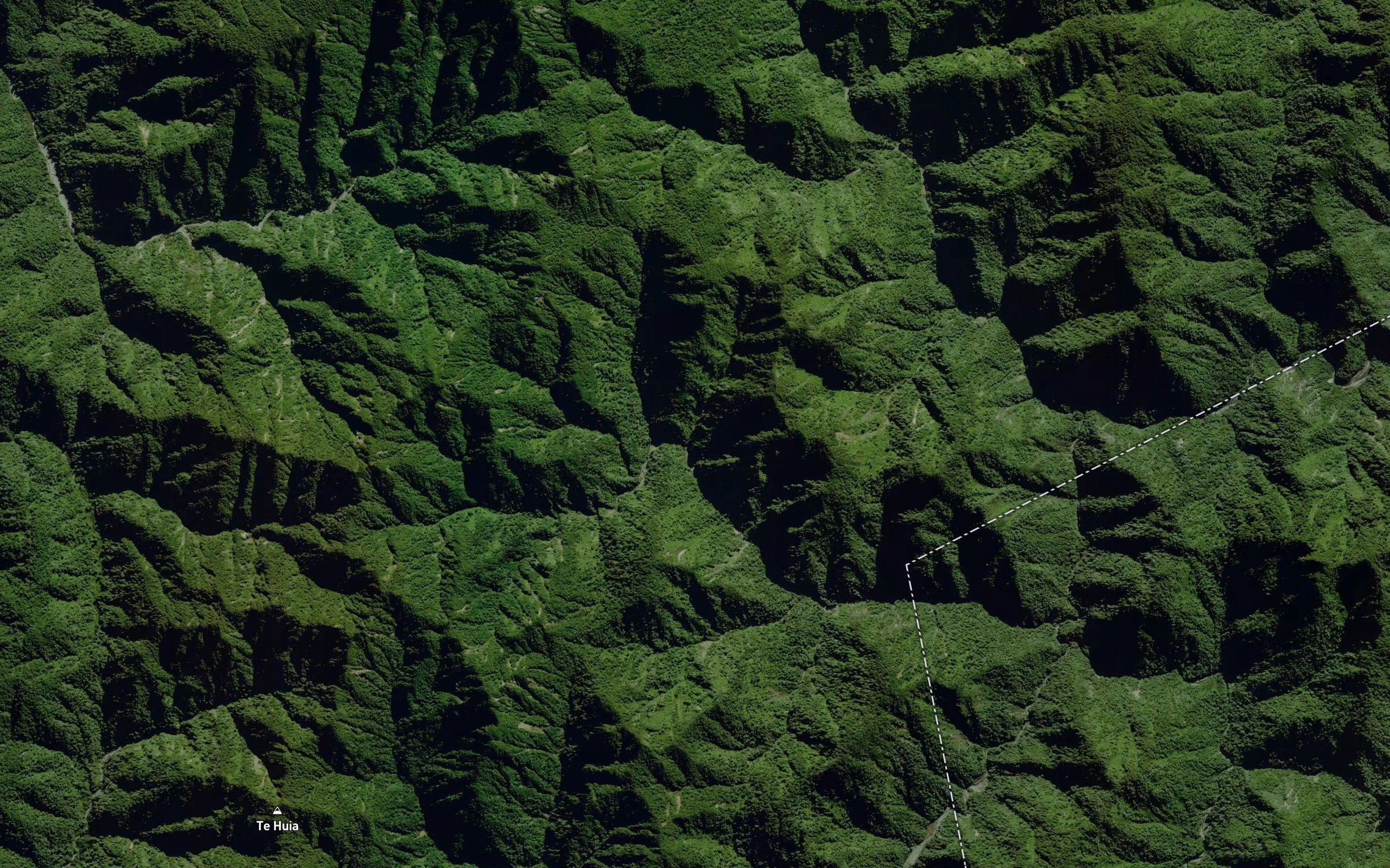 Rauatehuia Stream