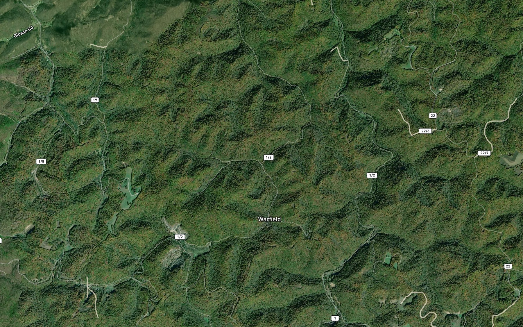 Satellite map of the Buckhorn Fork