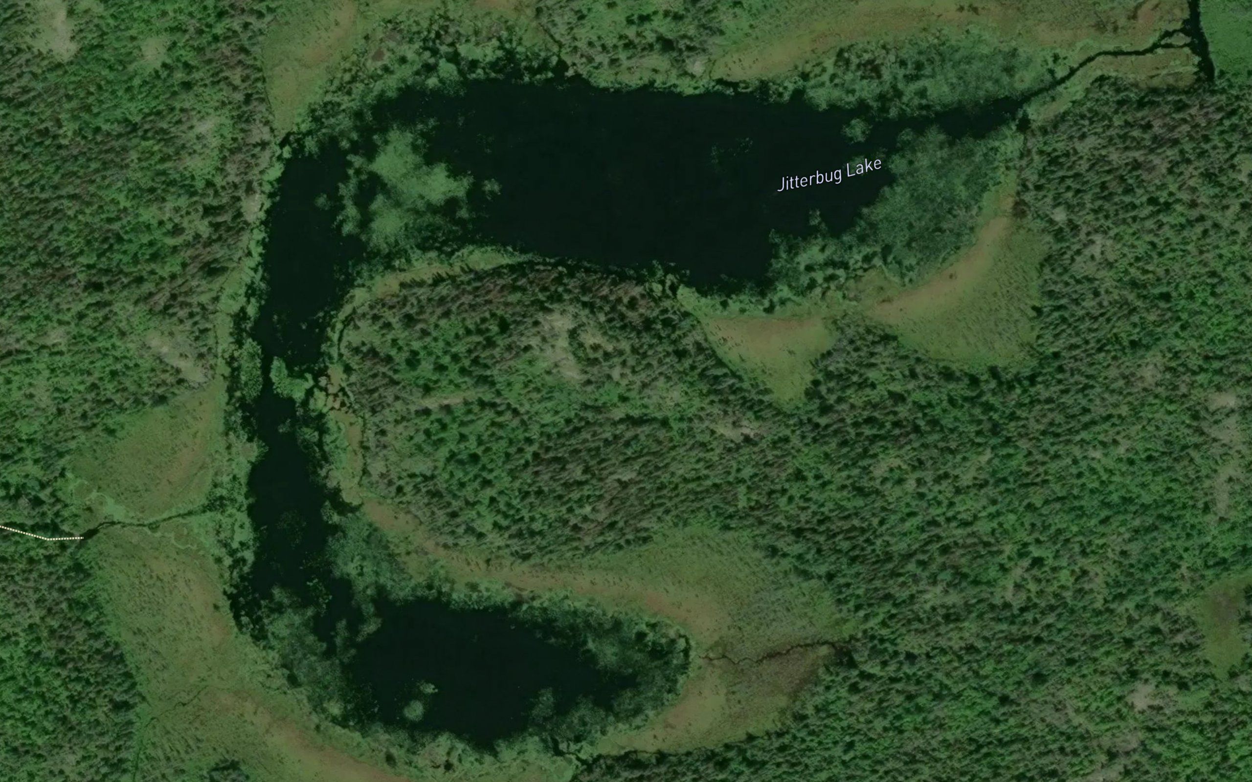 Jitterbug Lake