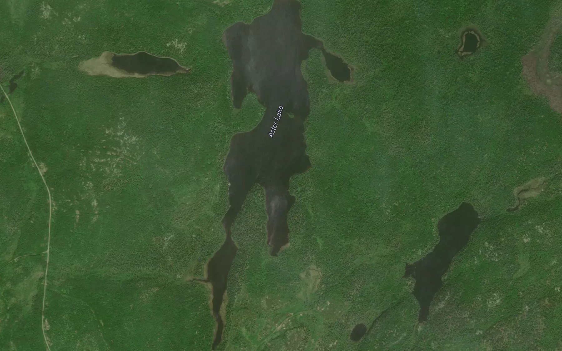 Satellite map of the Aster Lake