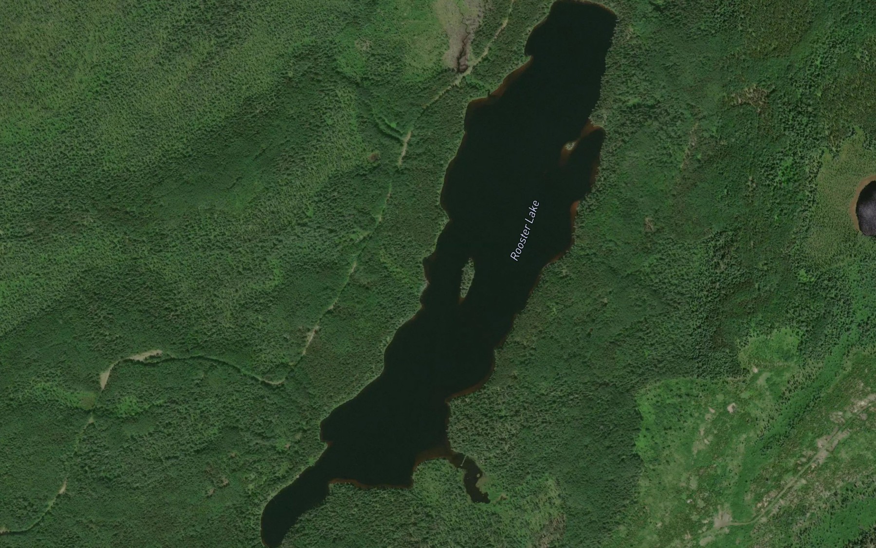 Satellite map of the Rooster Lake