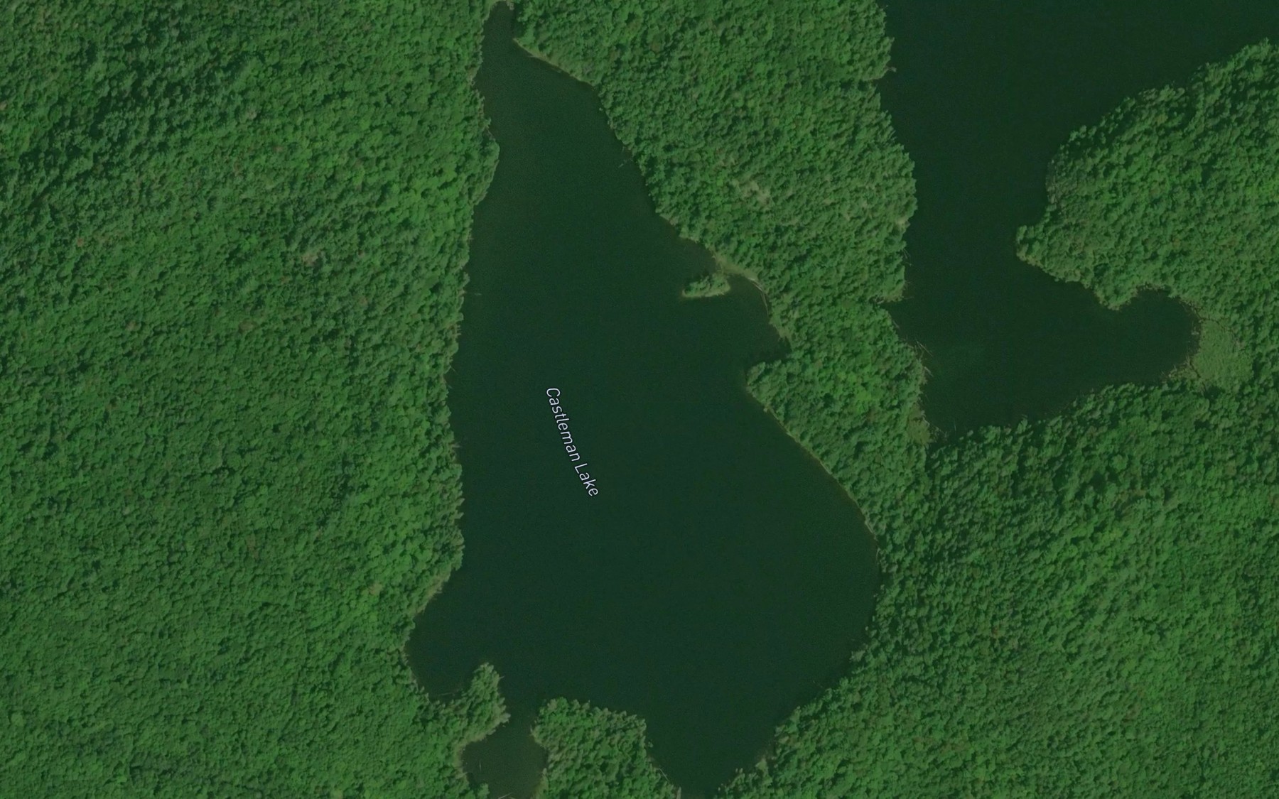 Satellite map of the Castleman Lake