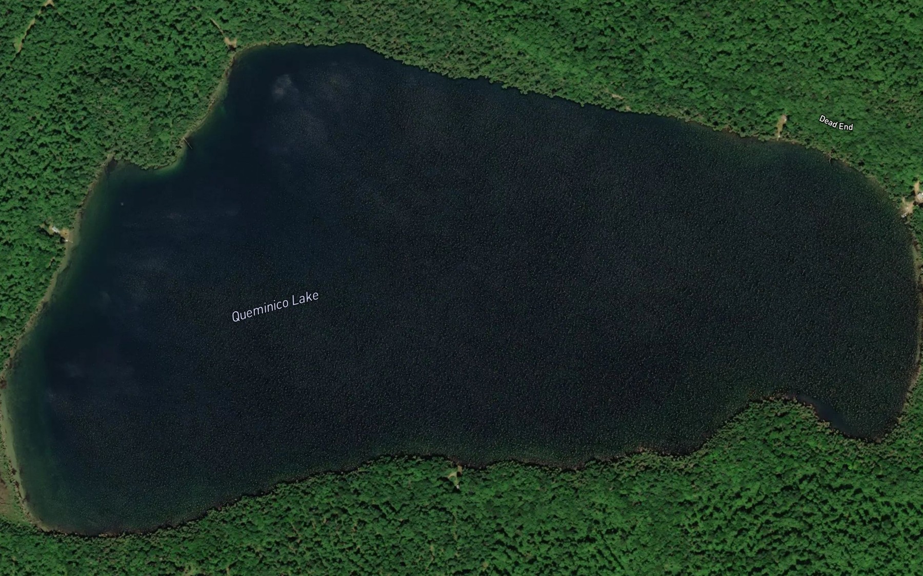 Satellite map of the Queminico Lake