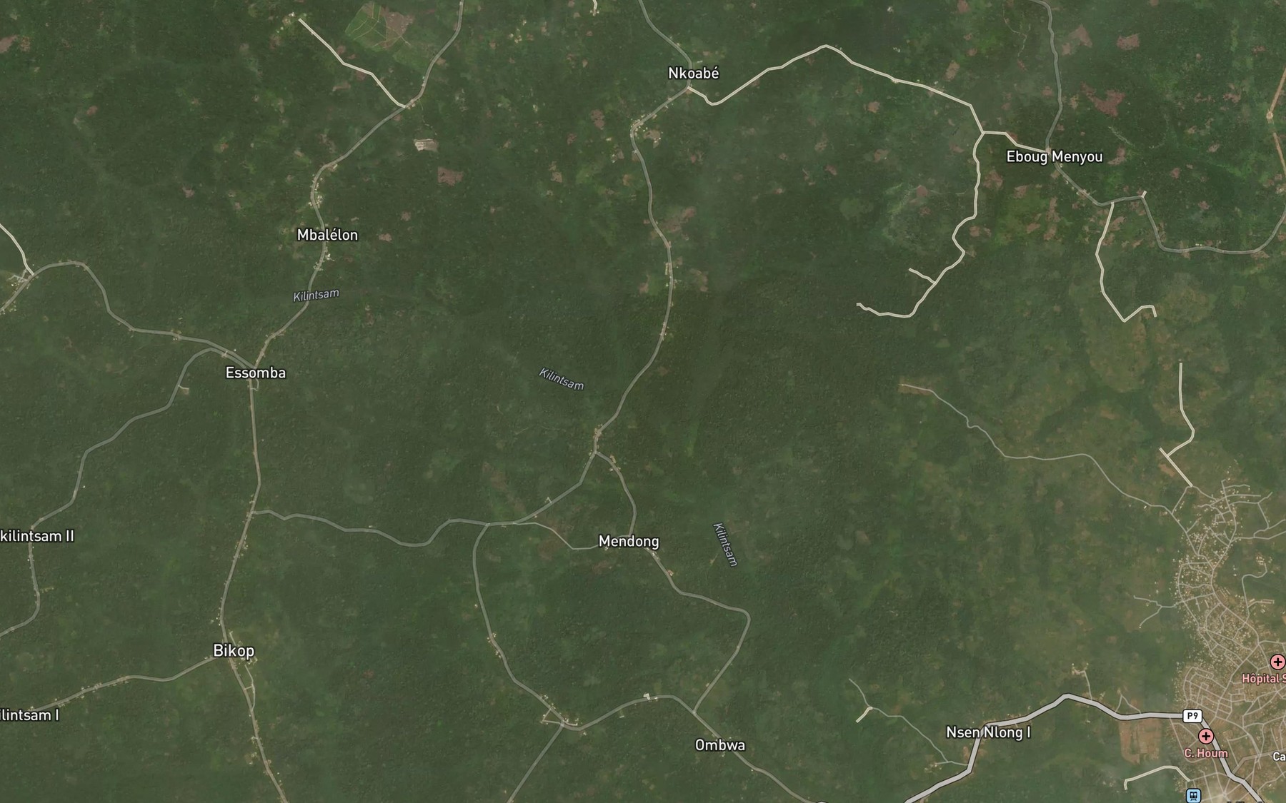 Satellite map of the Gangi