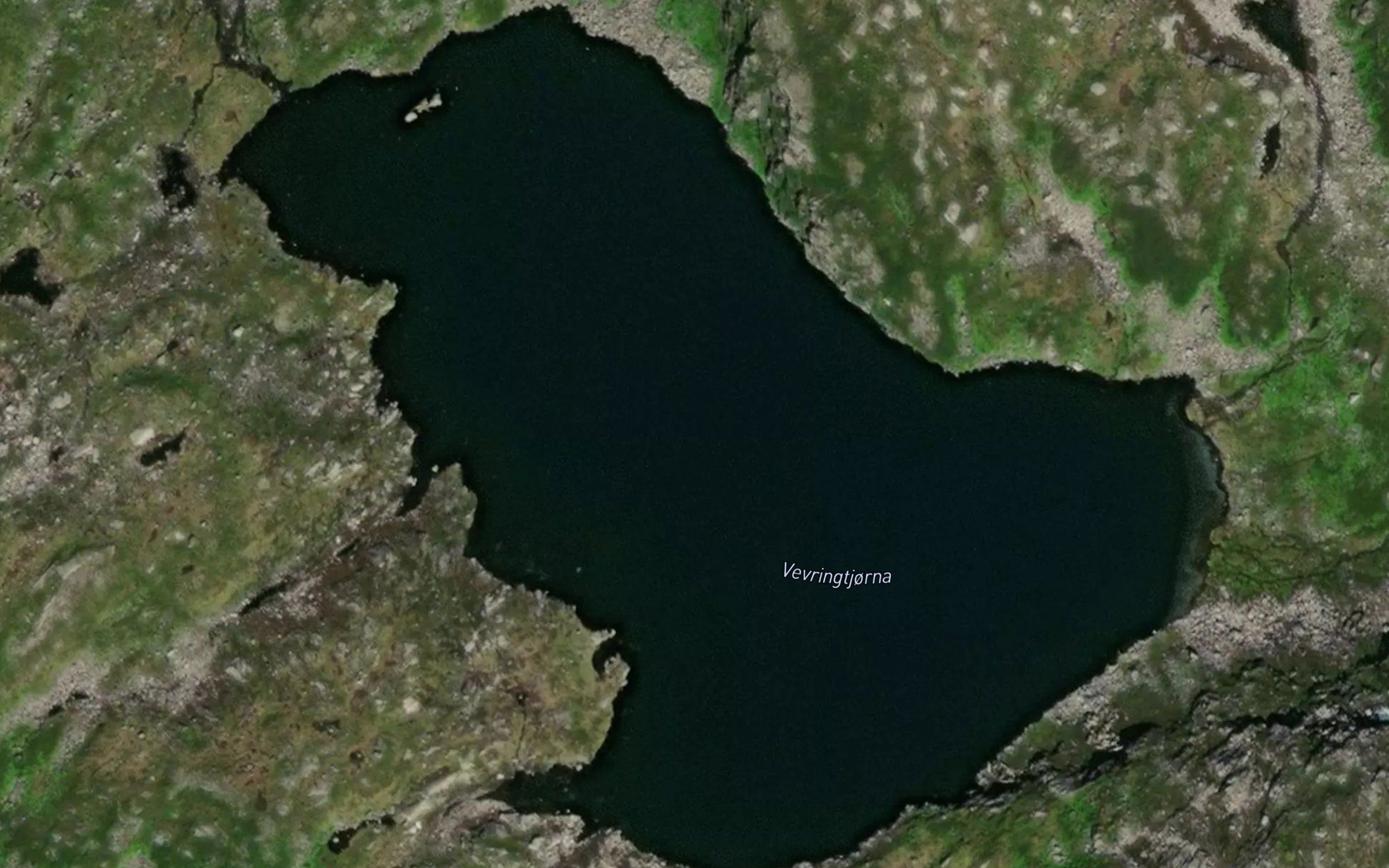 Vevringtjorna