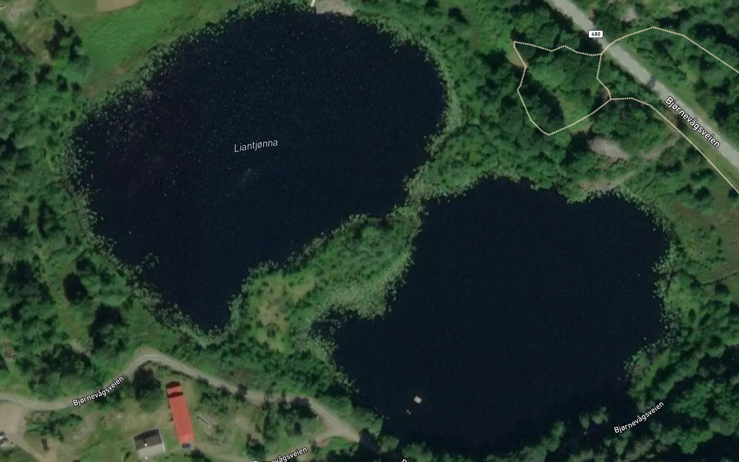Liantjonna