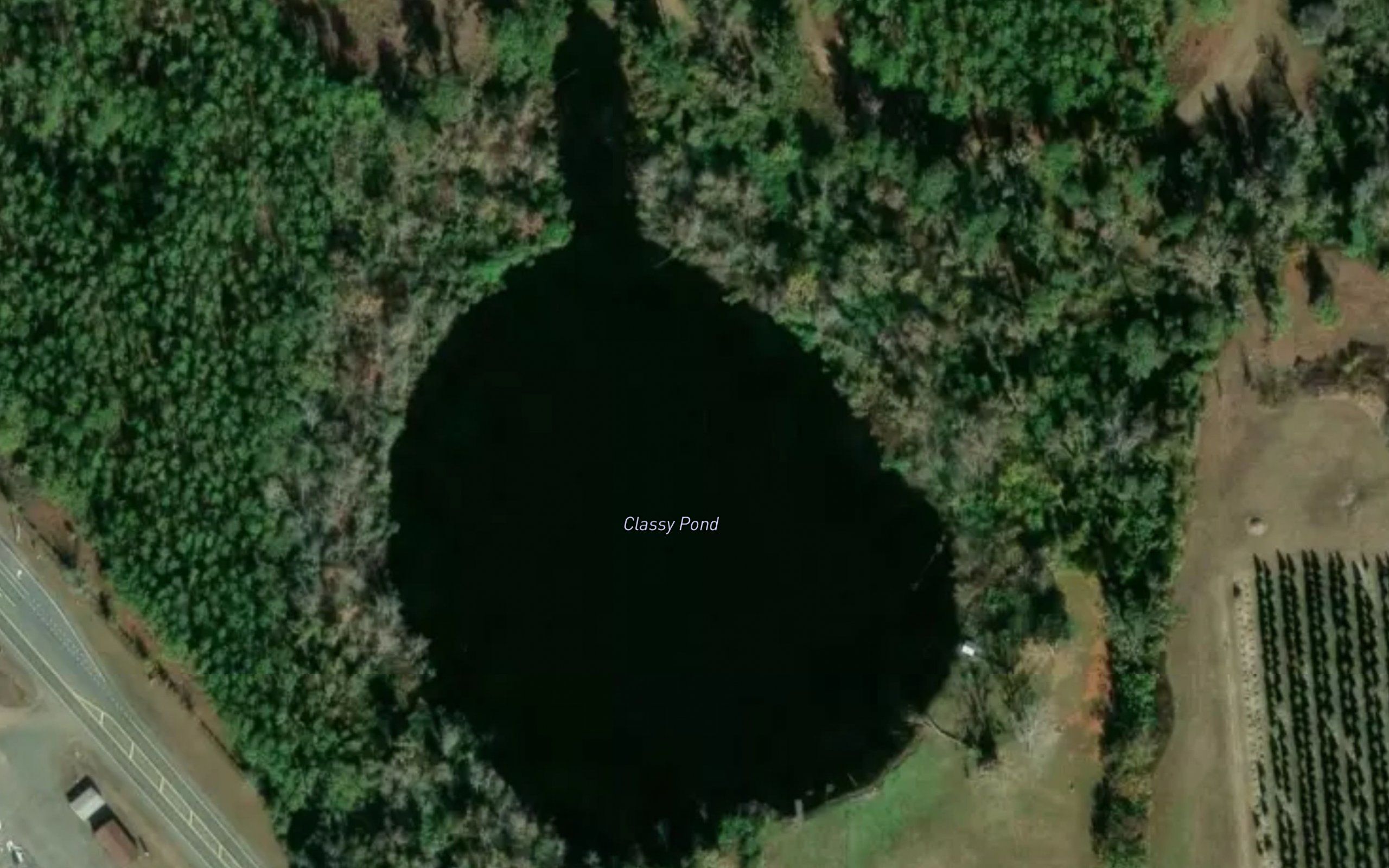 Classy Pond