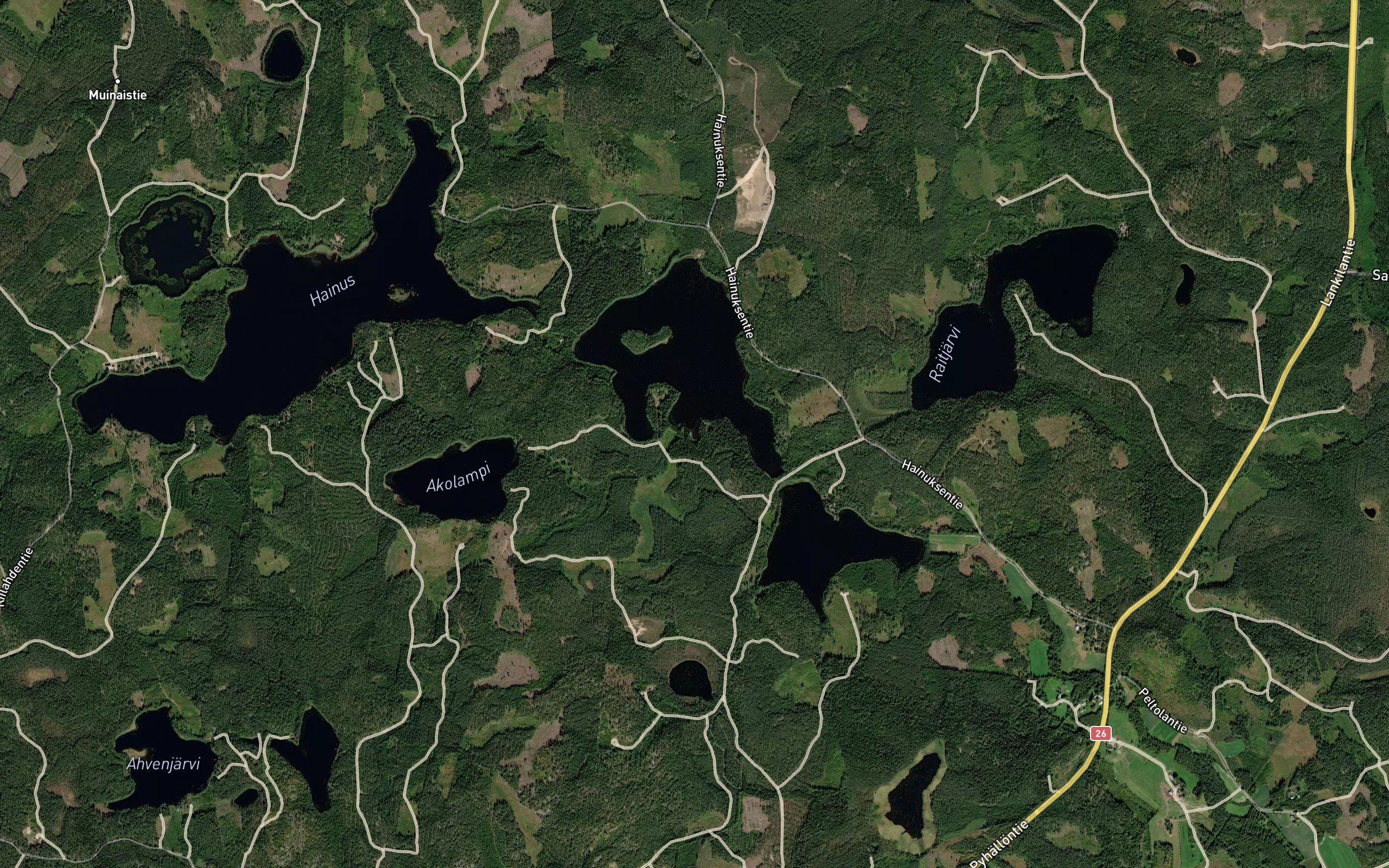 Niittylahti