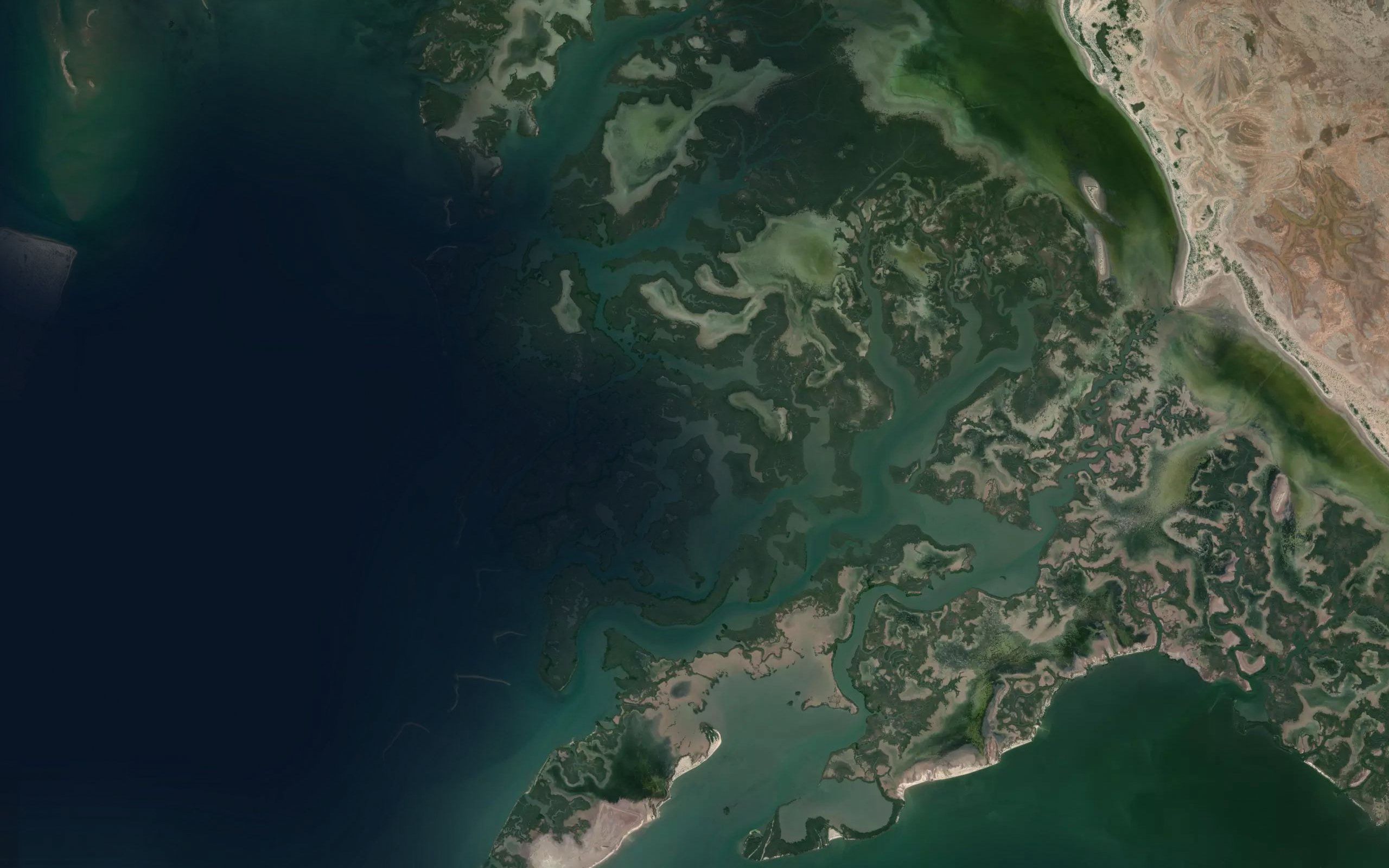 Estero el Escondido