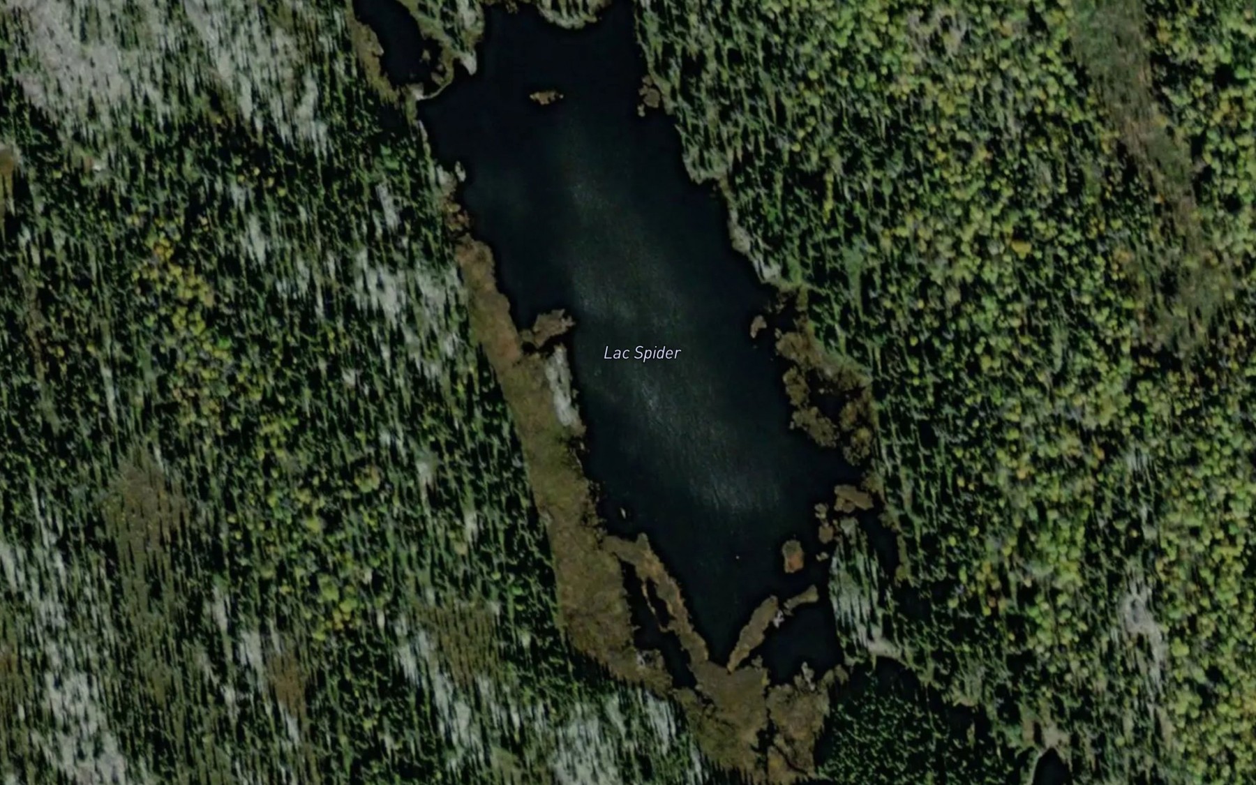 Satellite map of the Lac Spider