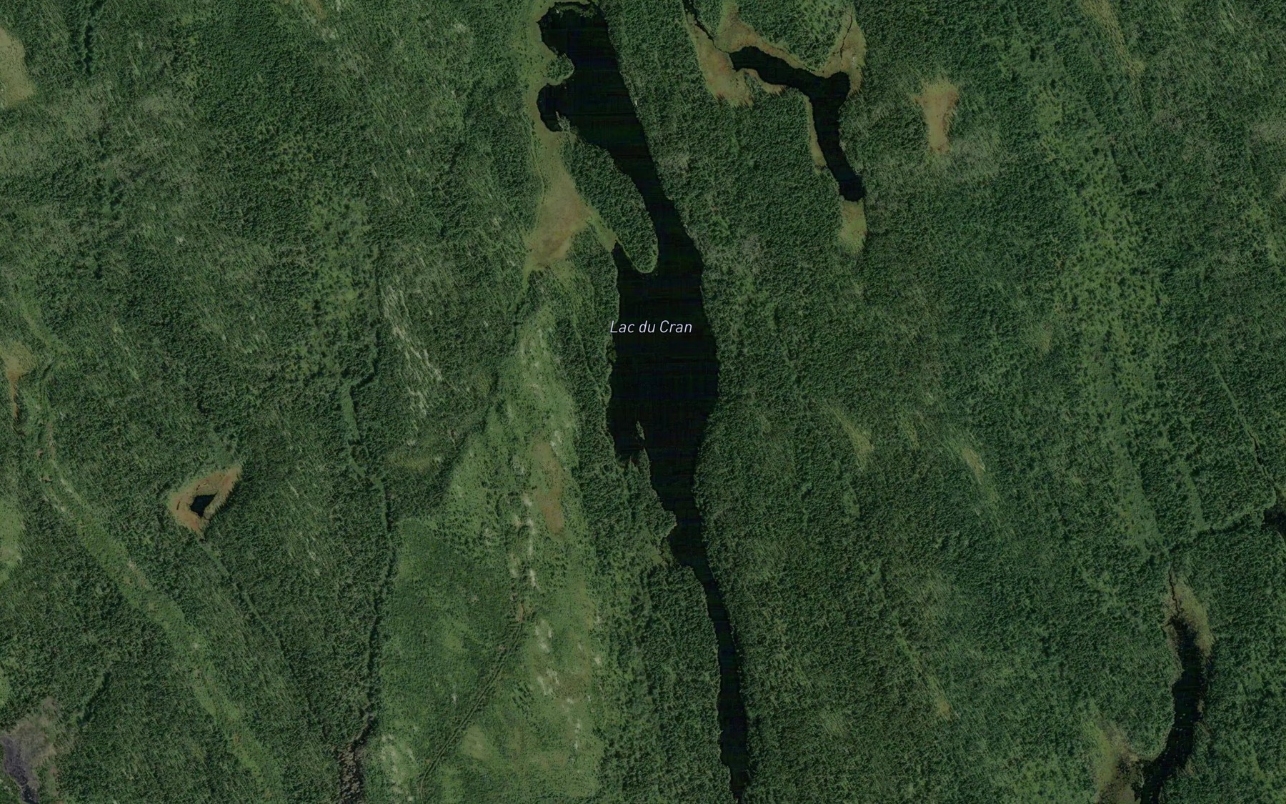 Satellite map of the Lac du Cran