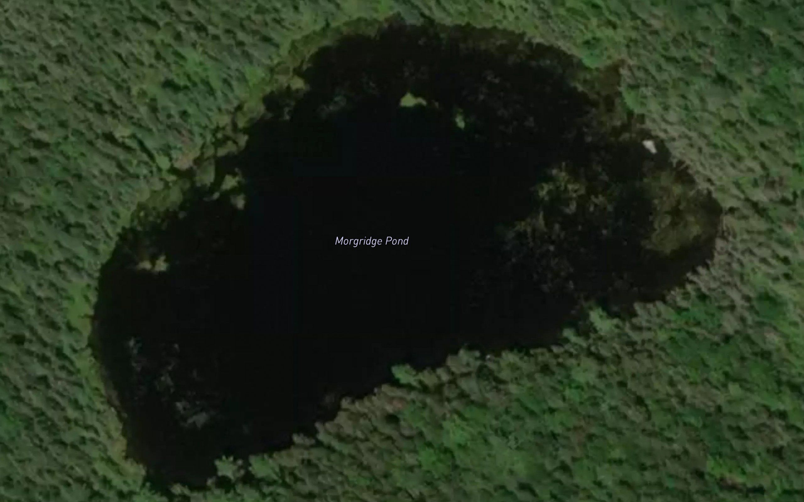 Morgridge Pond