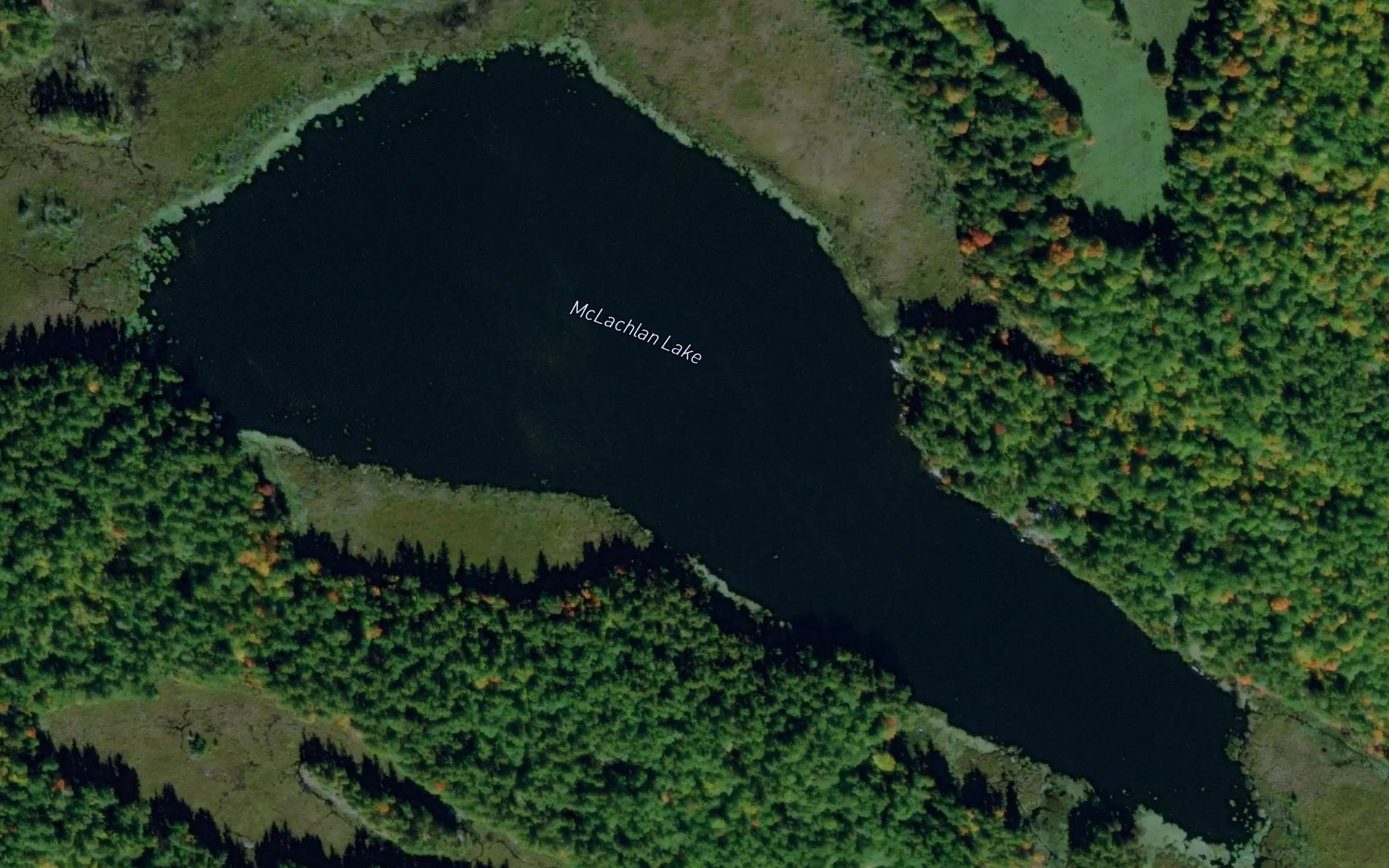 Satellite map of the McLachlan Lake