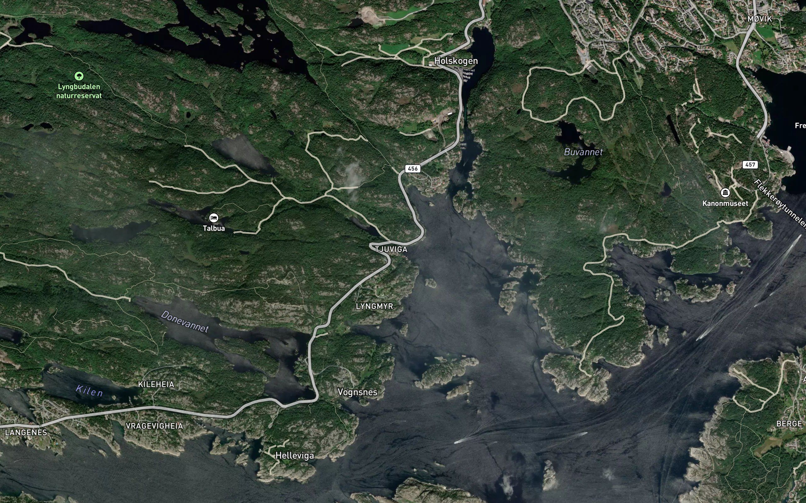Tjuvika