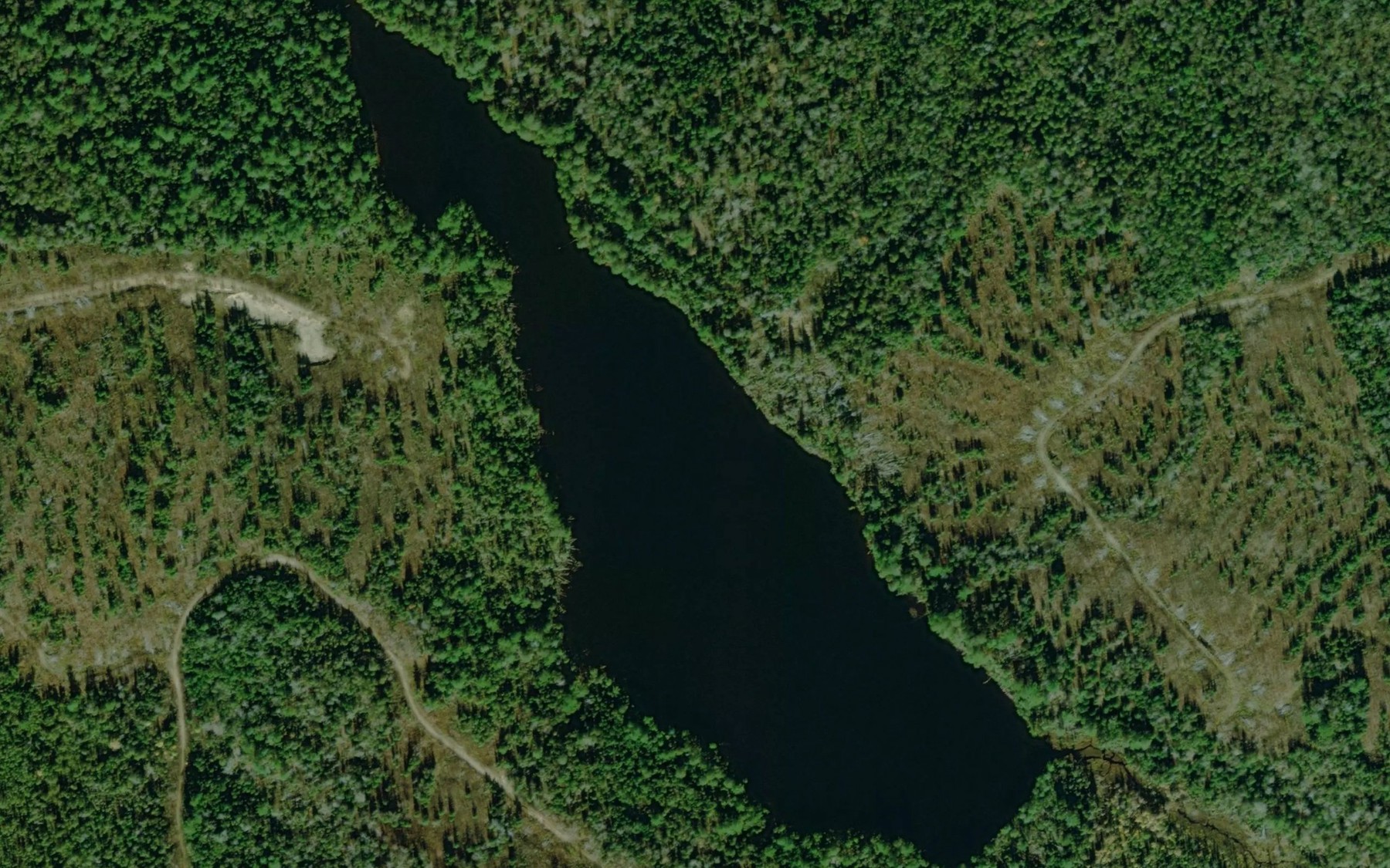 Satellite map of the Lac Bresse