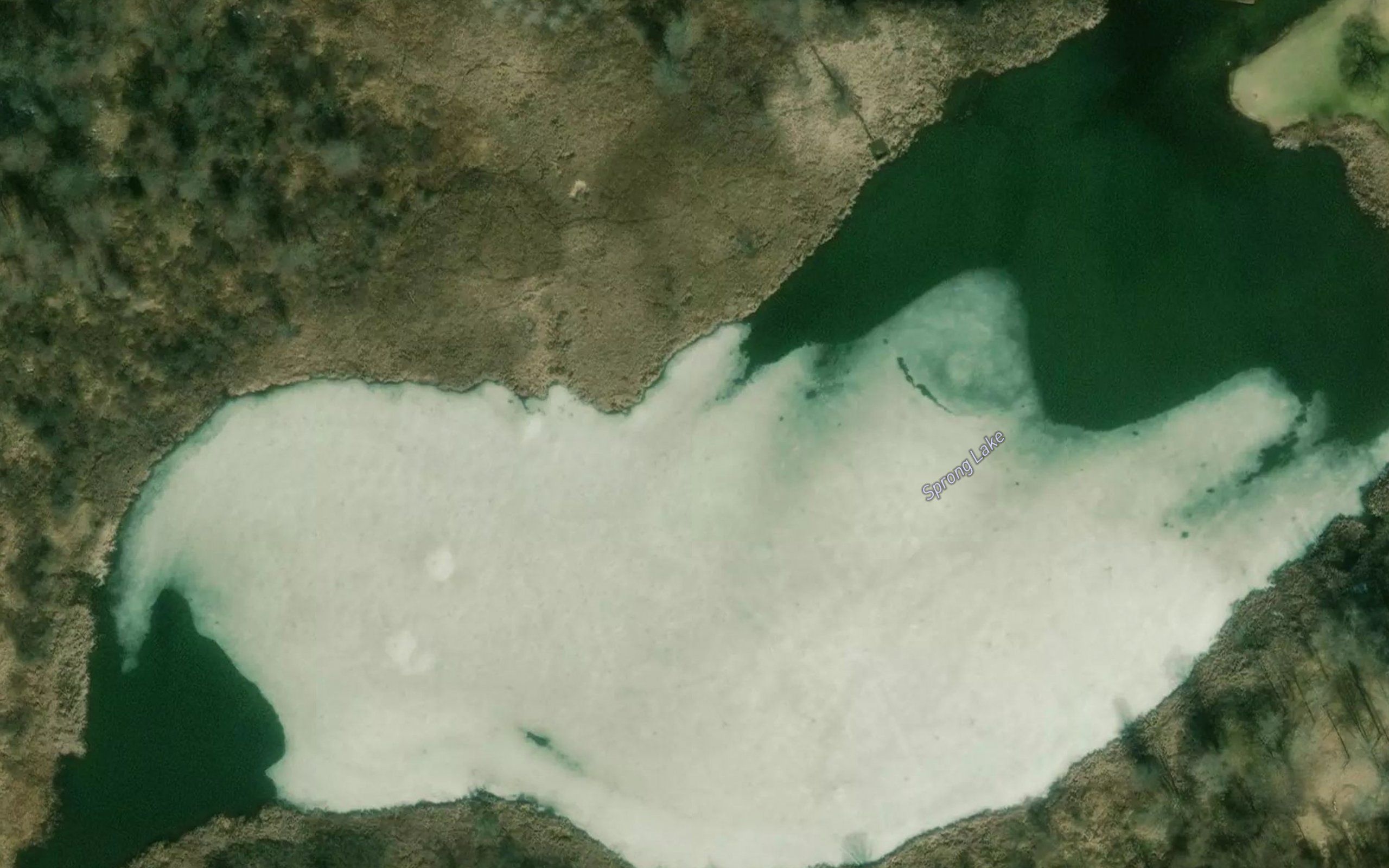 Sprong Lake