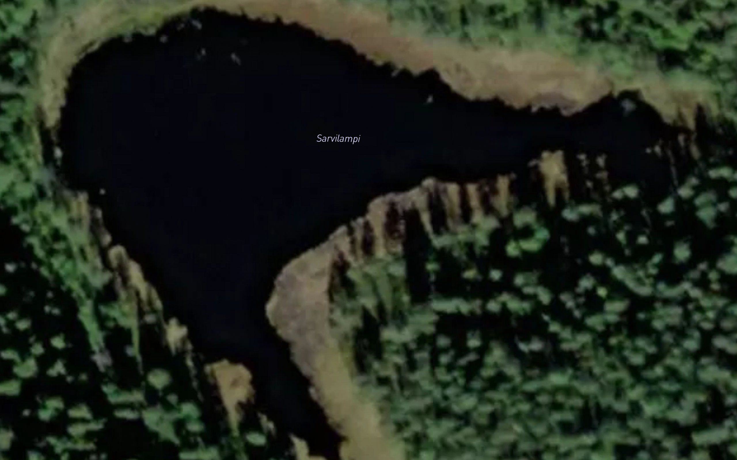 Sarvilampi
