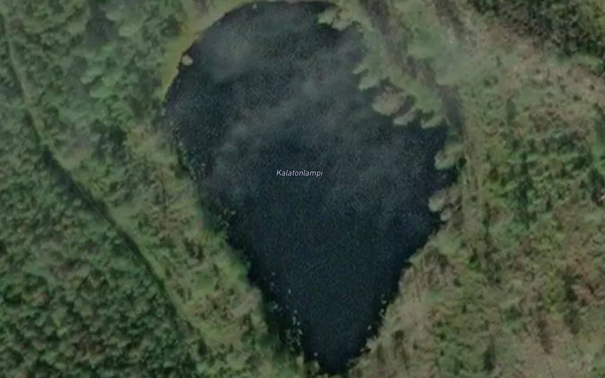 Kalatonlampi