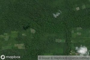 Igarape Braco Grande