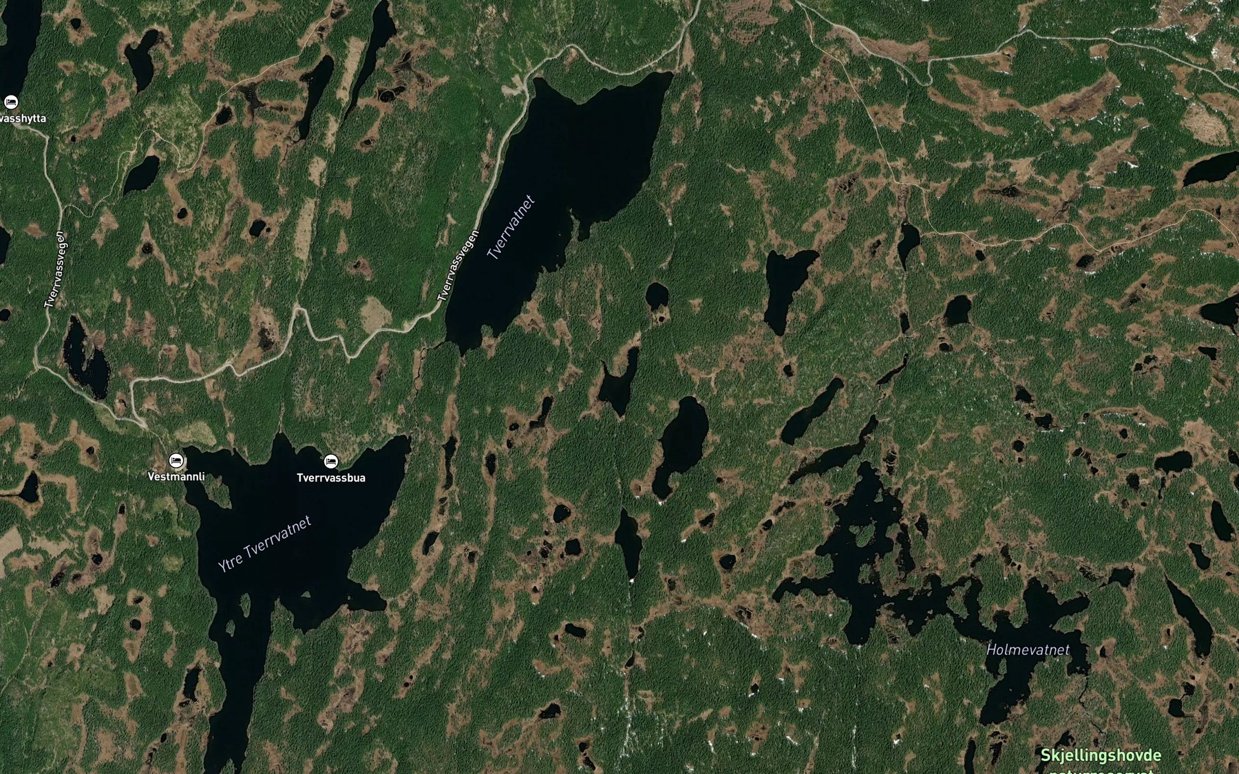Satellite map of the Vesle Svartvatnet