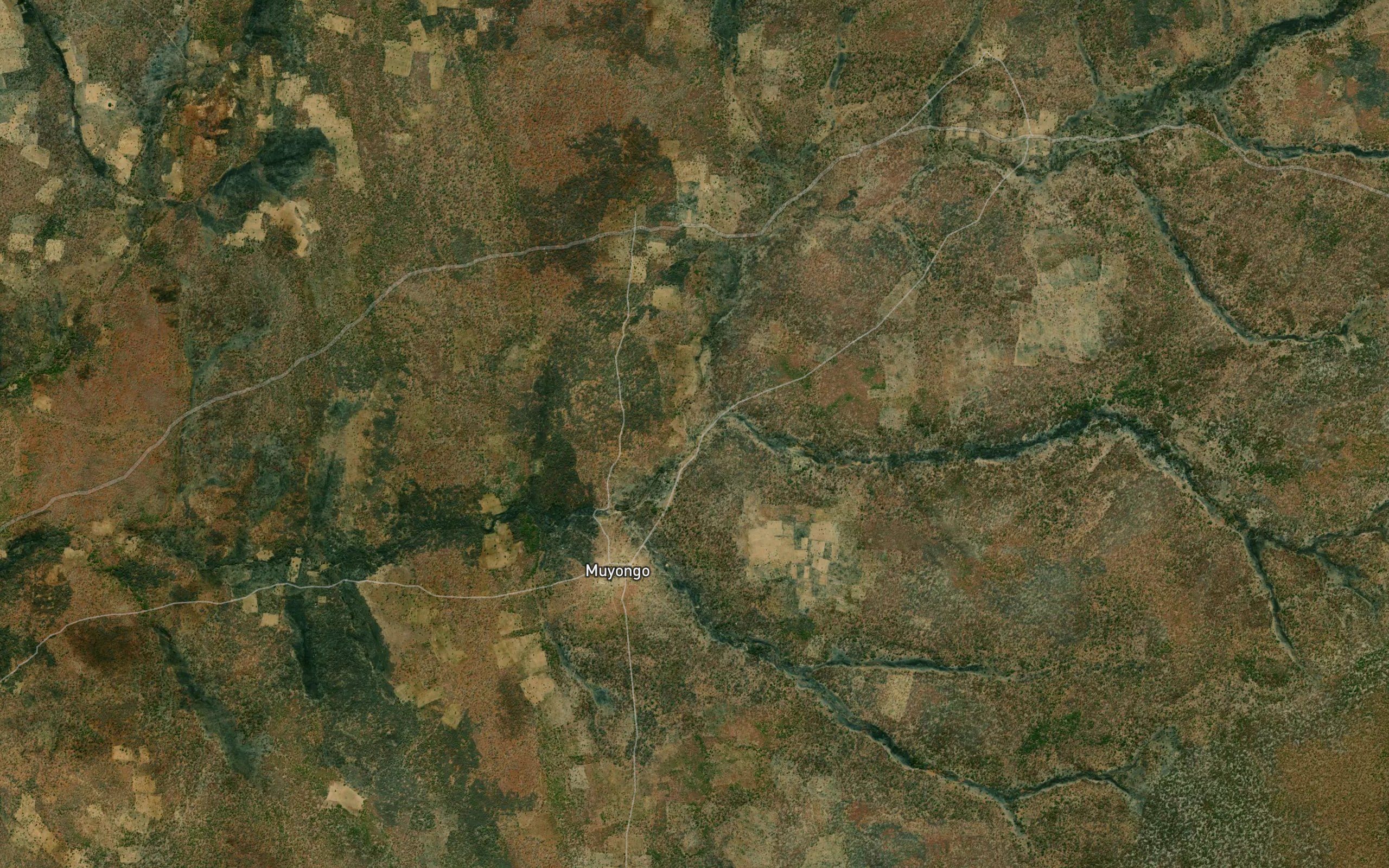 Calonga