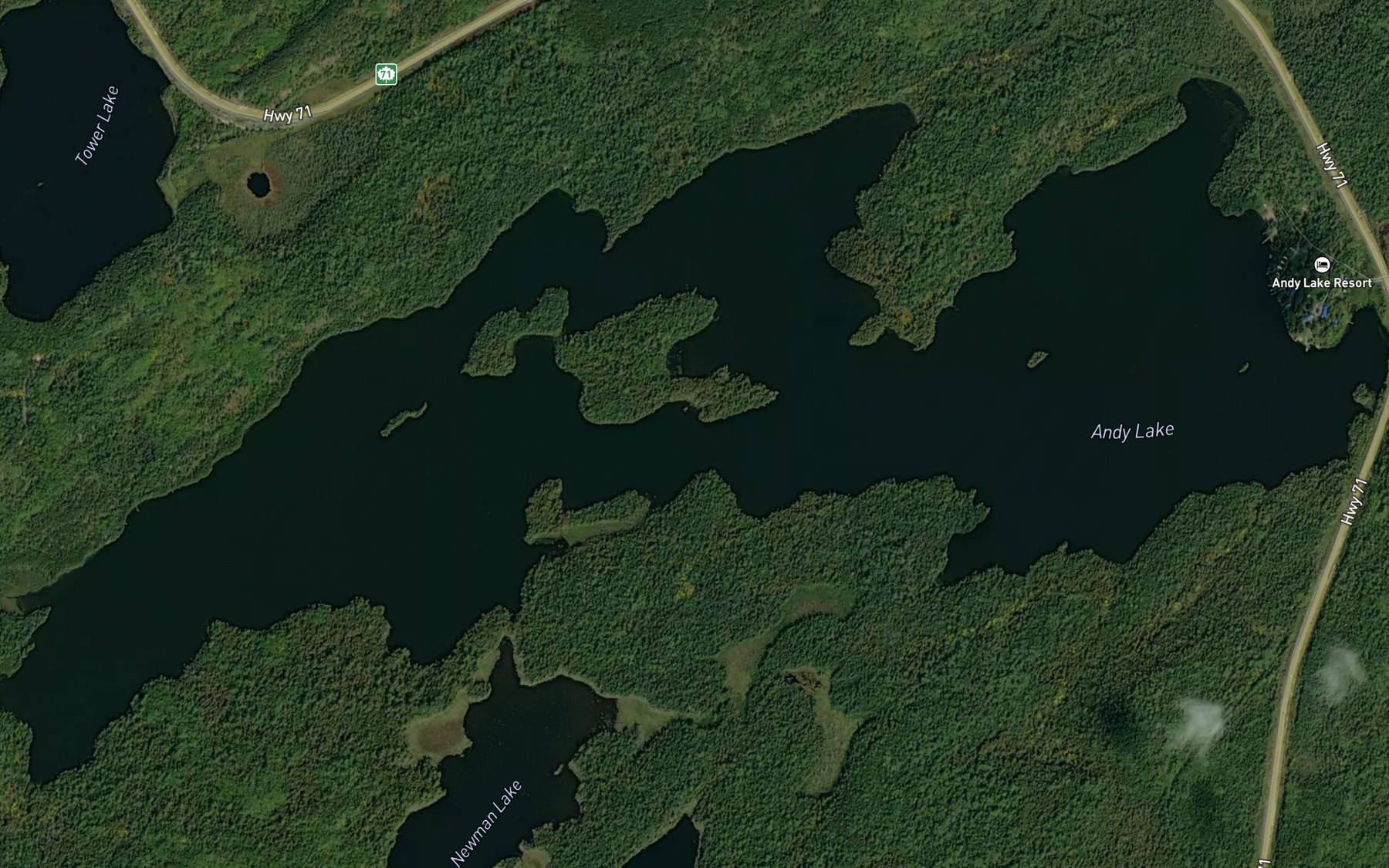 Satellite map of the Andy Lake