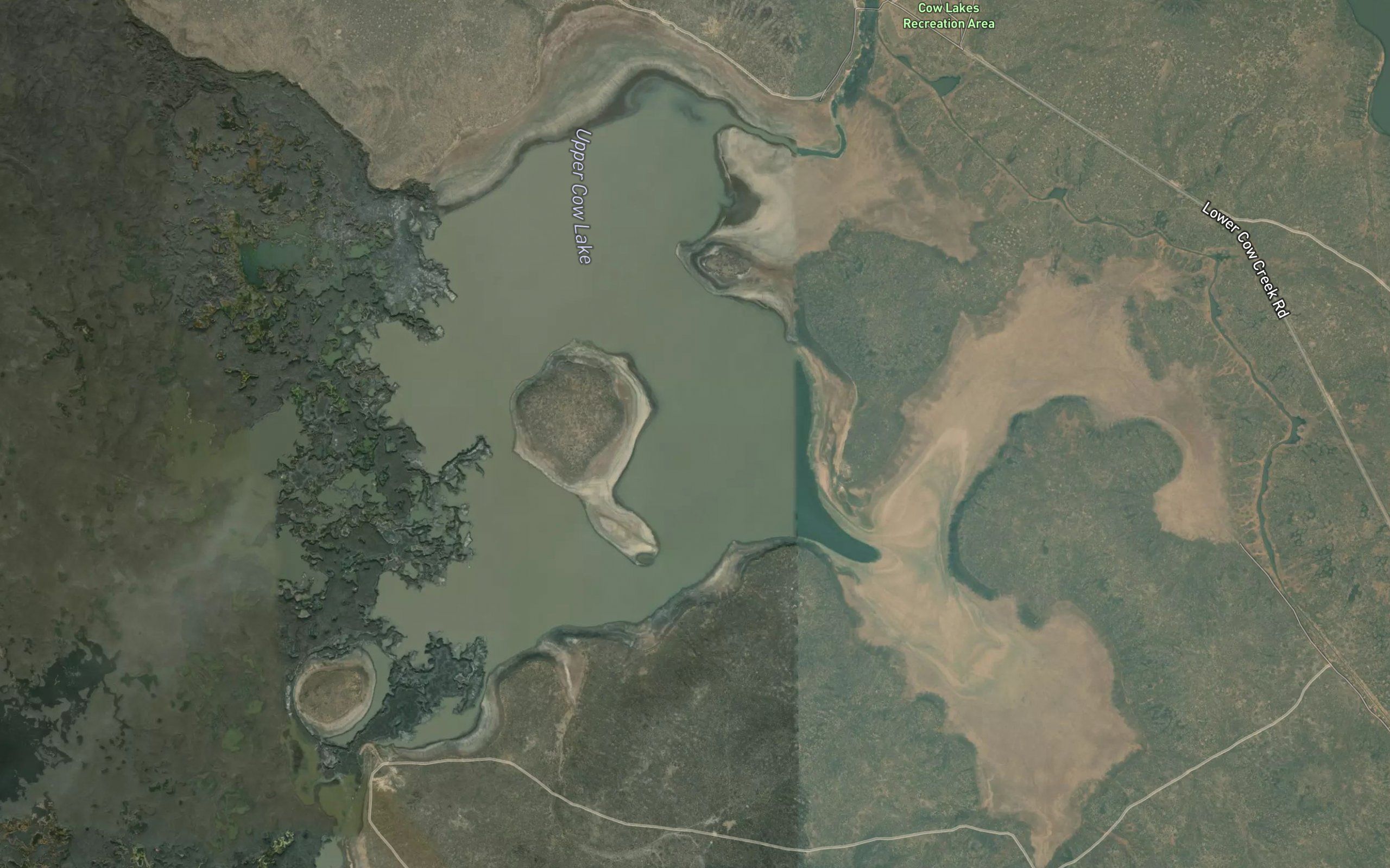 Cow Lakes