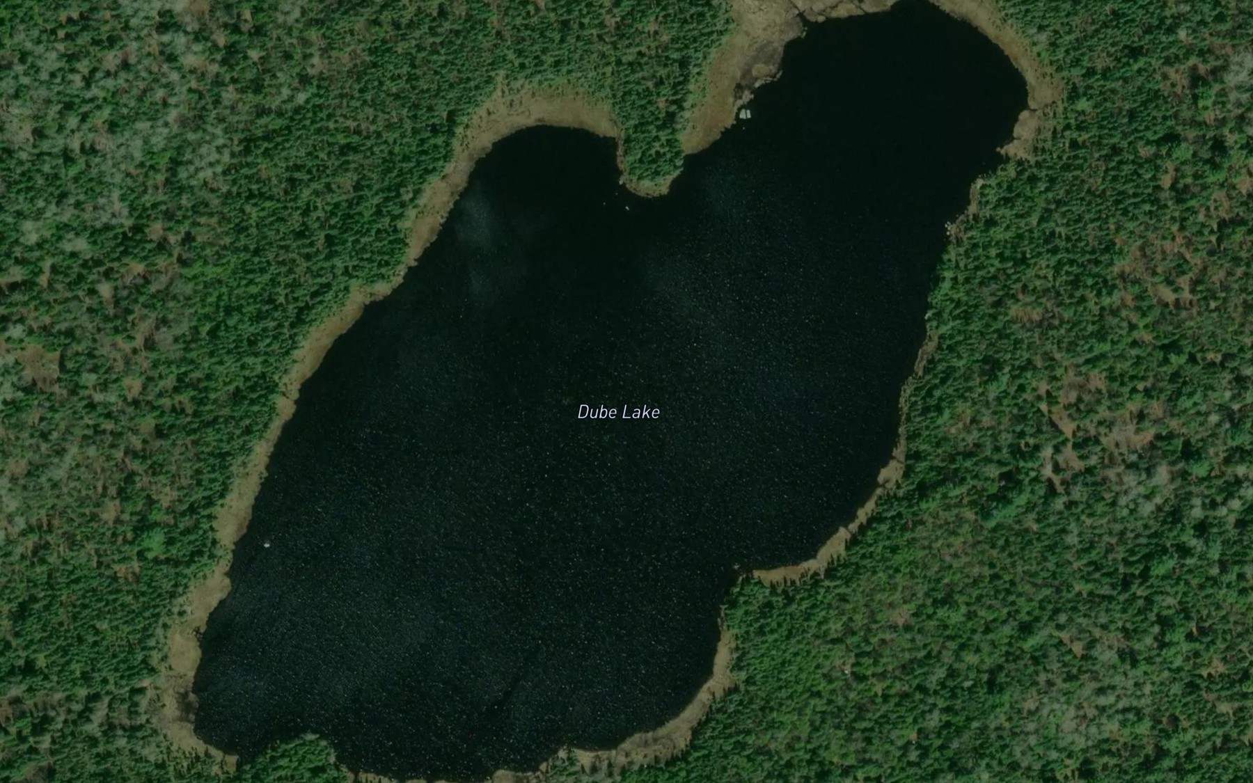 Satellite map of the Dube Lake