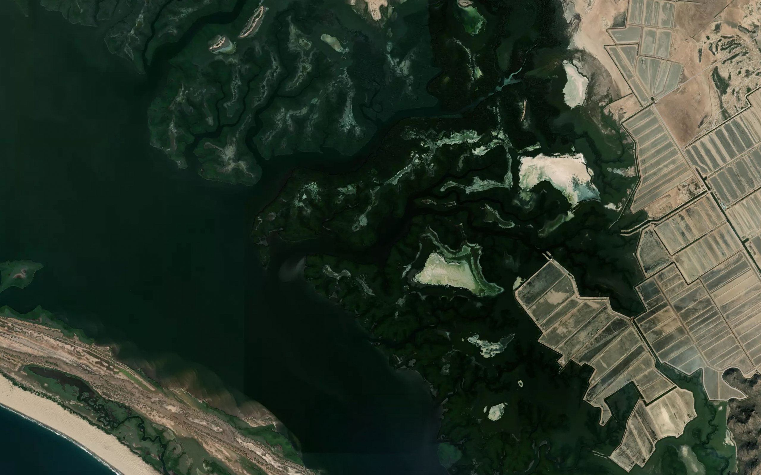 Estero Ciali