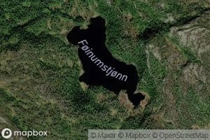 Foynemsaetertjorna