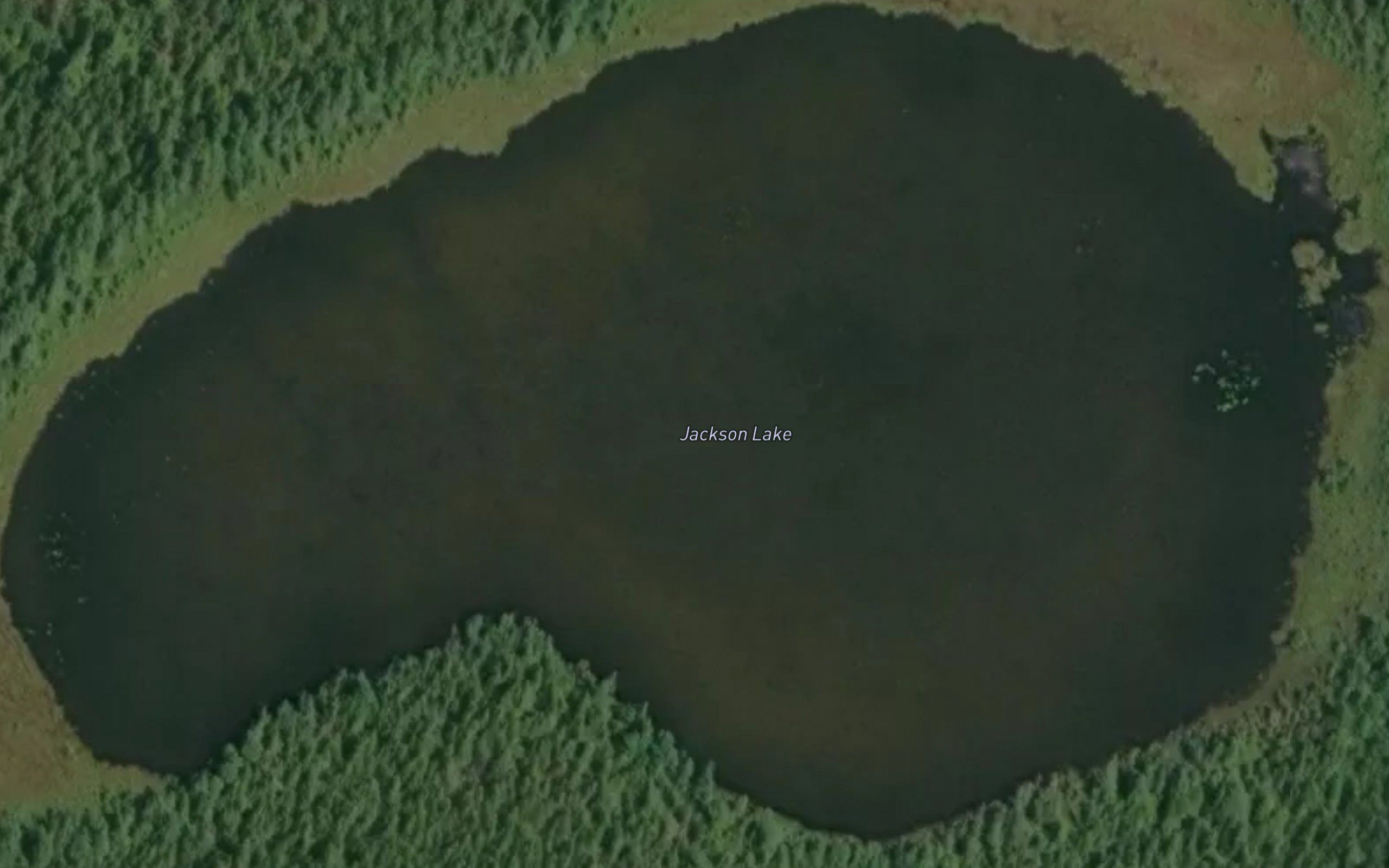 Jackson Lake