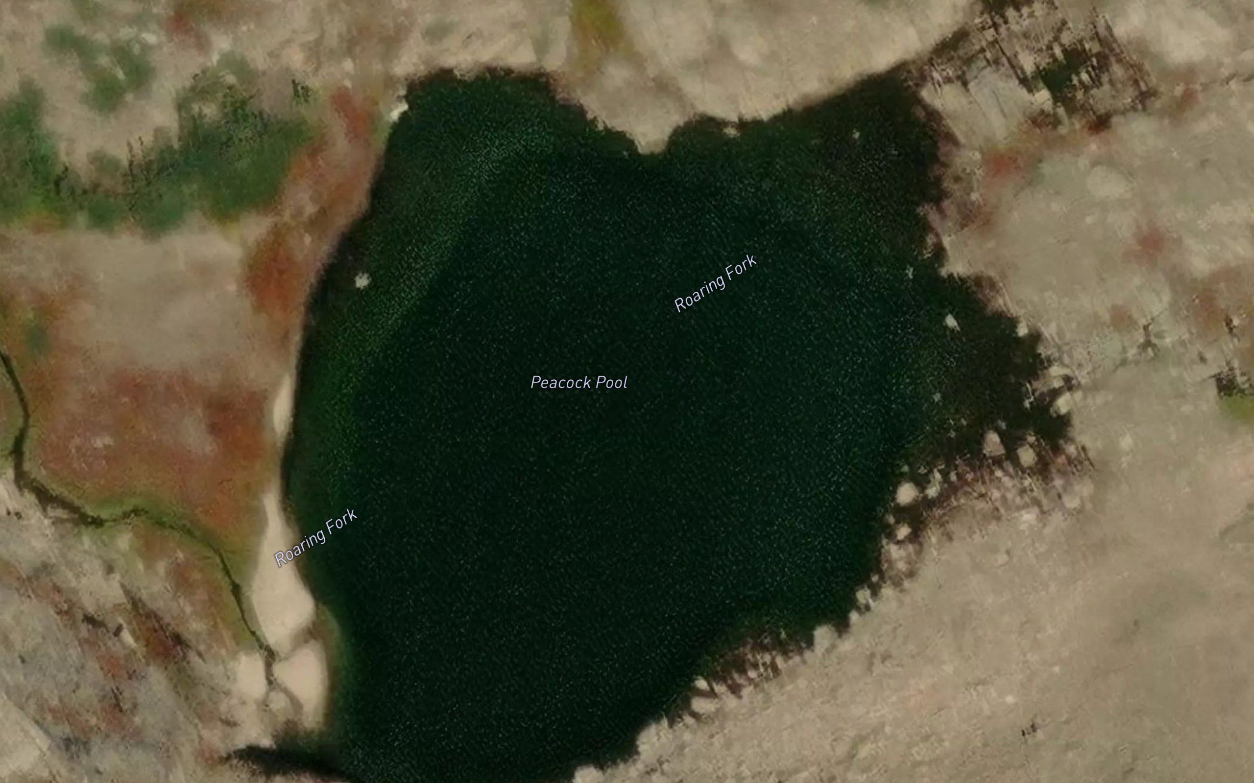 Peacock Pool