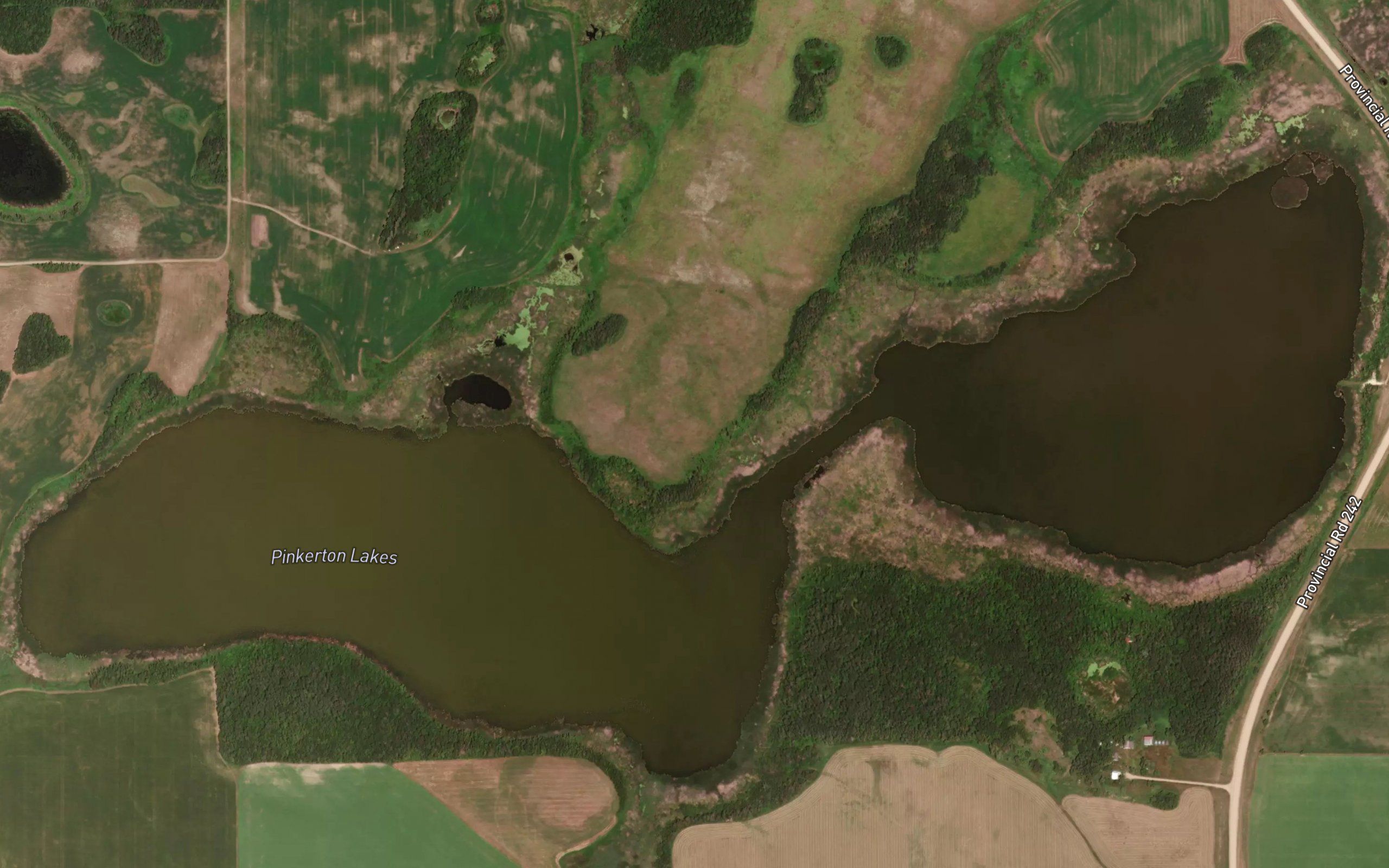 Pinkerton Lakes