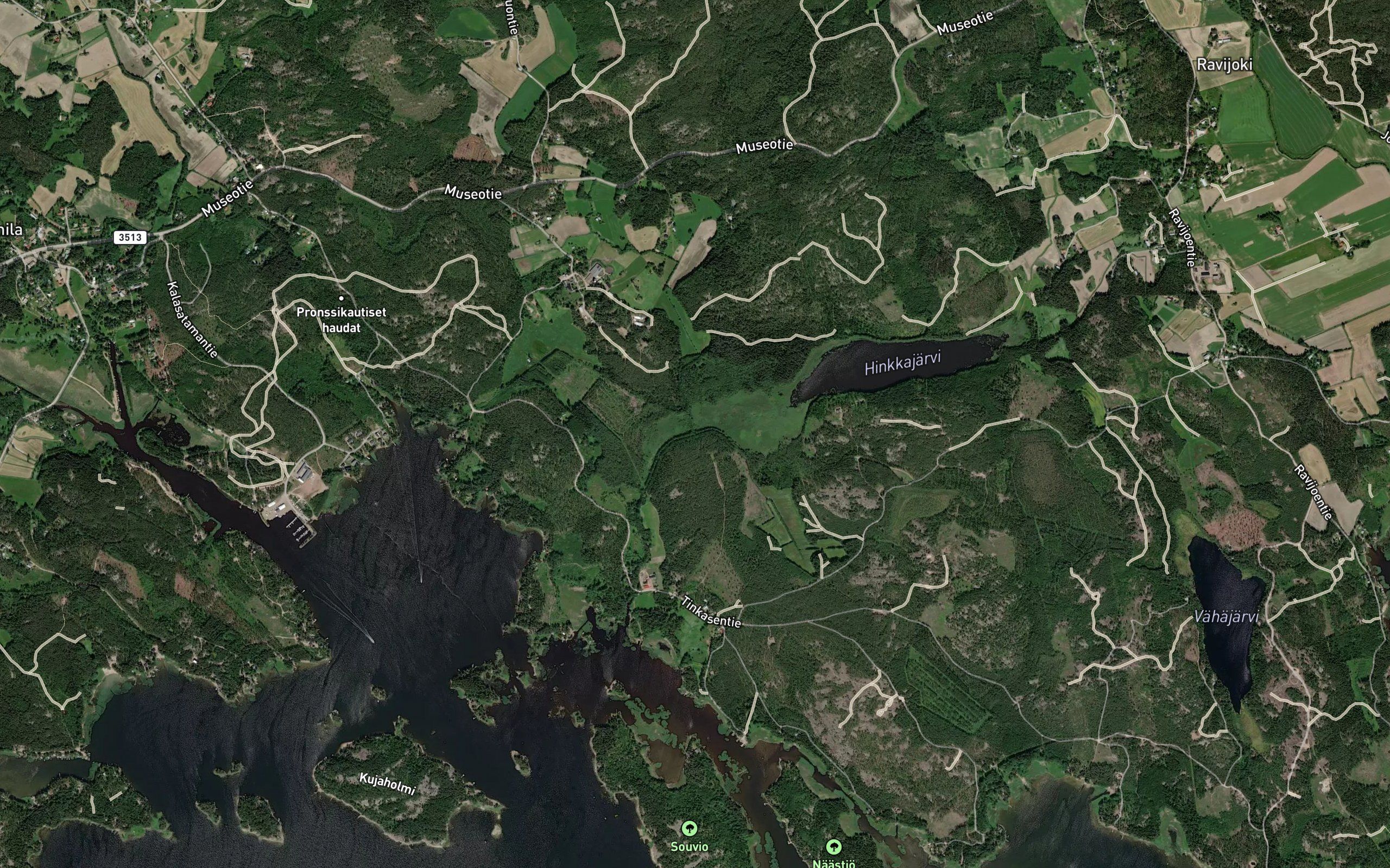Vetelansuonoja