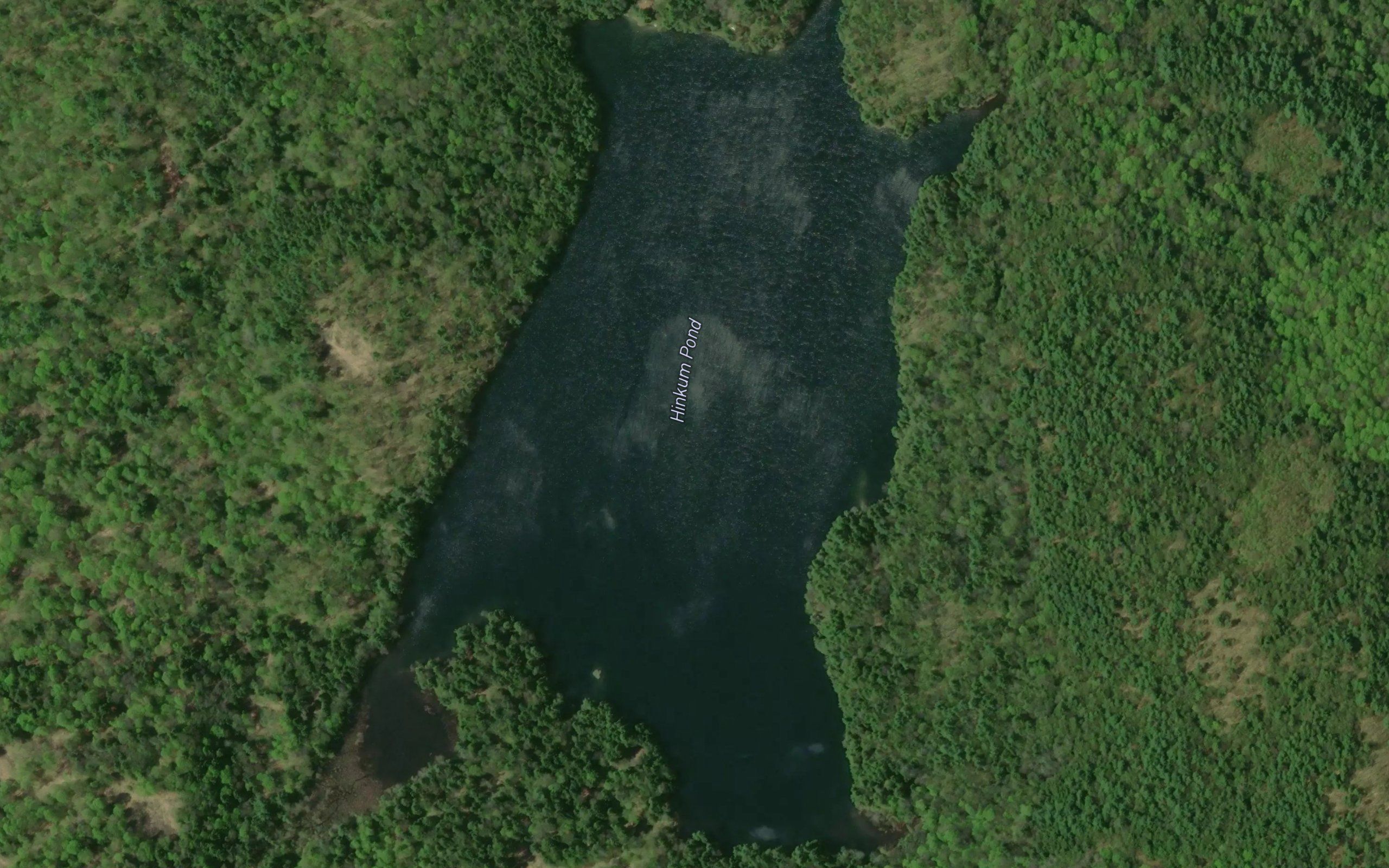 Hinkum Pond