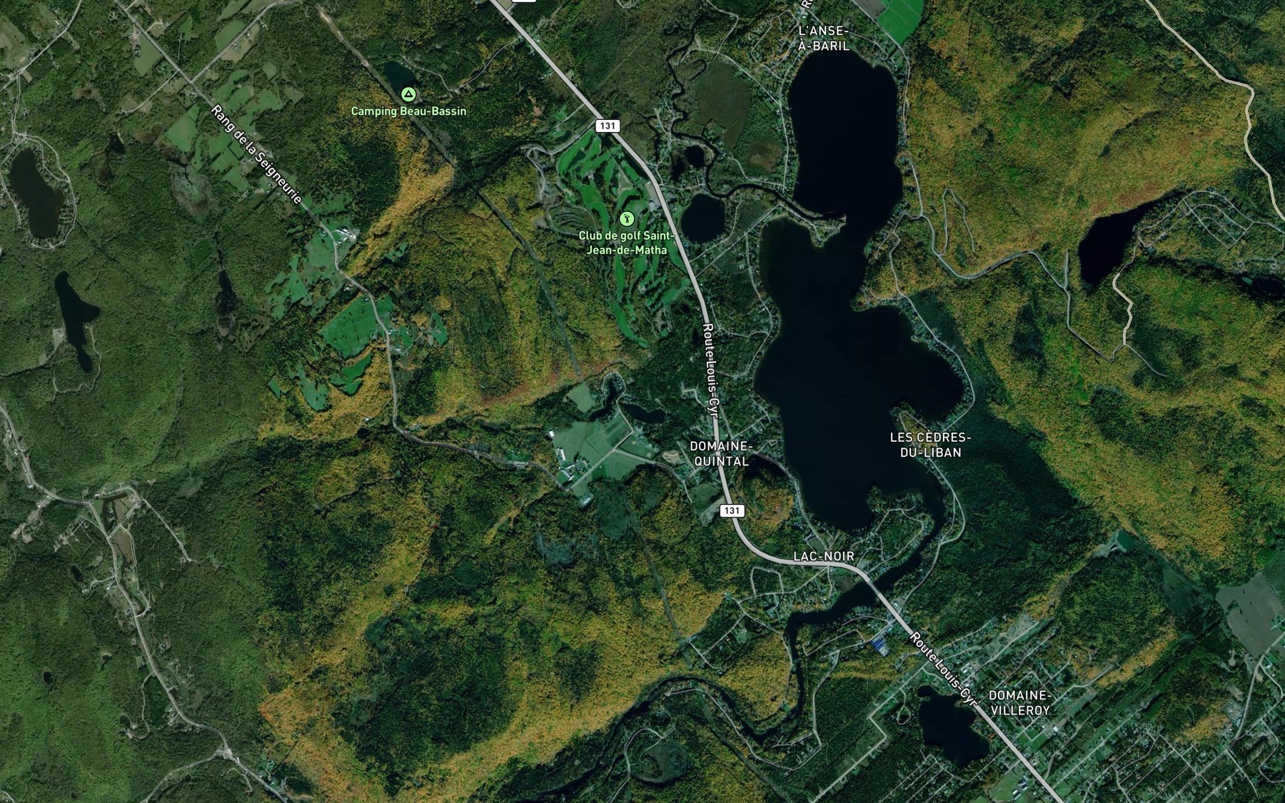 Satellite map of the Lac de la Voliere