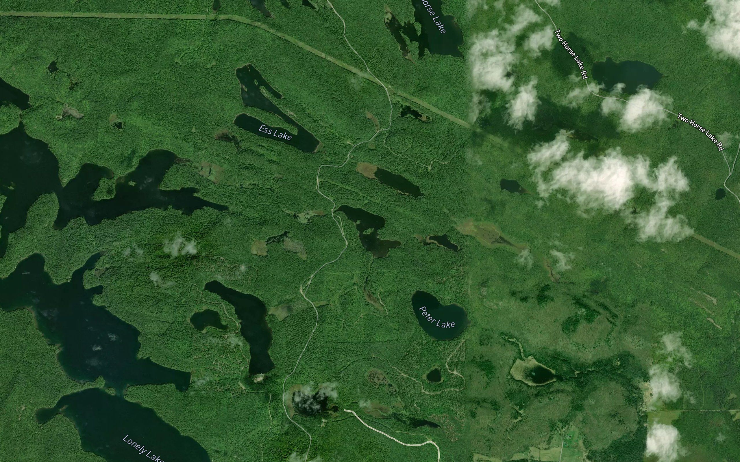 Wilson Lake