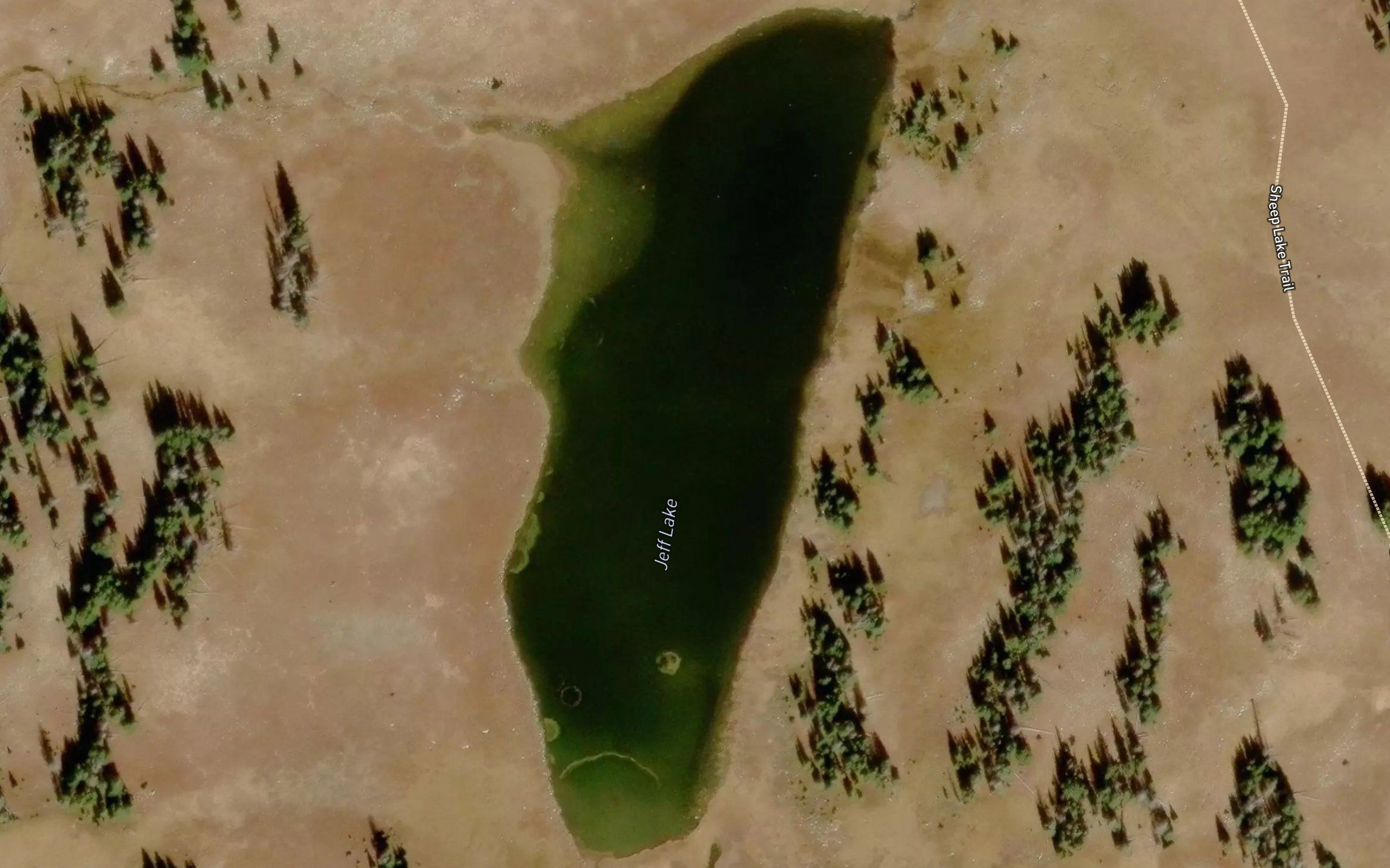 Jeff Lake