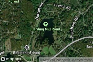 Carding Millpond