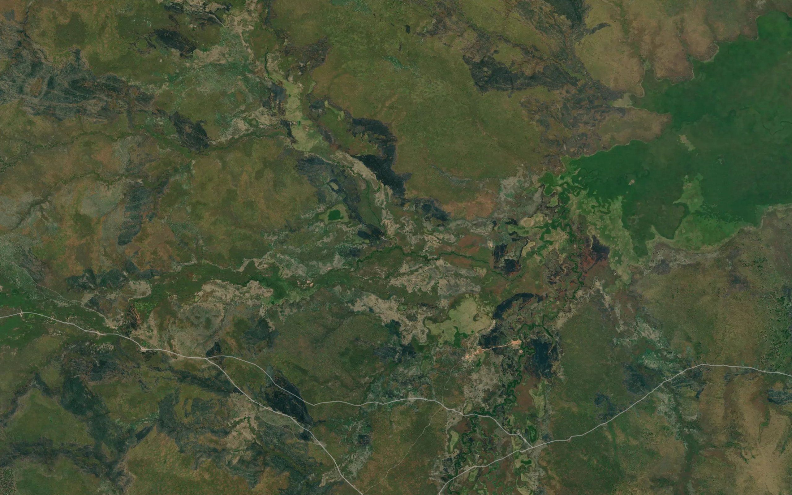 Candongo