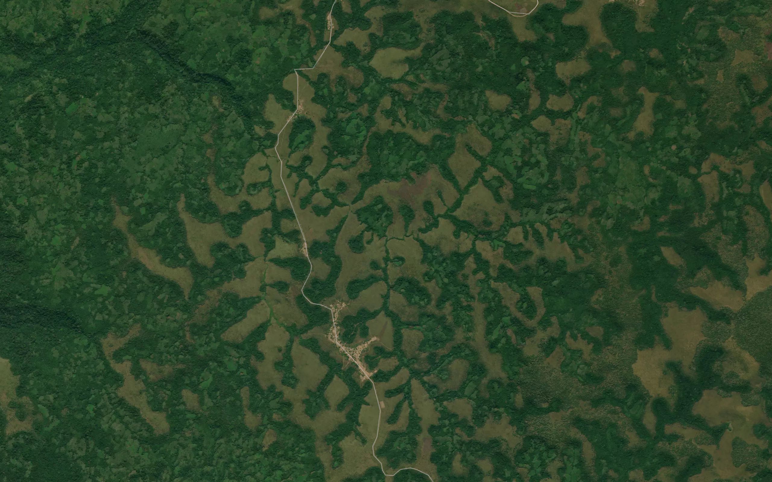 Mapata