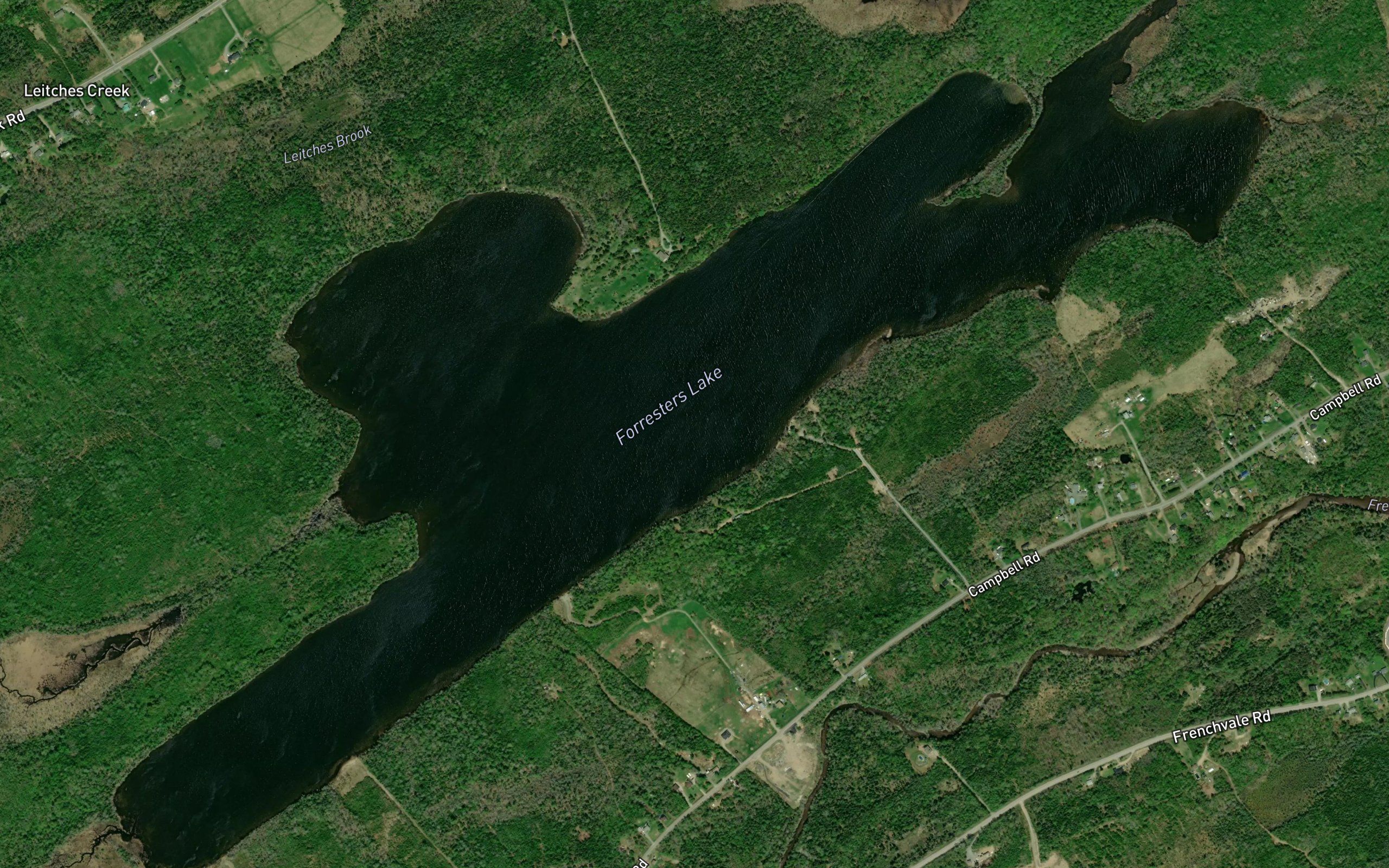 Forresters Lake