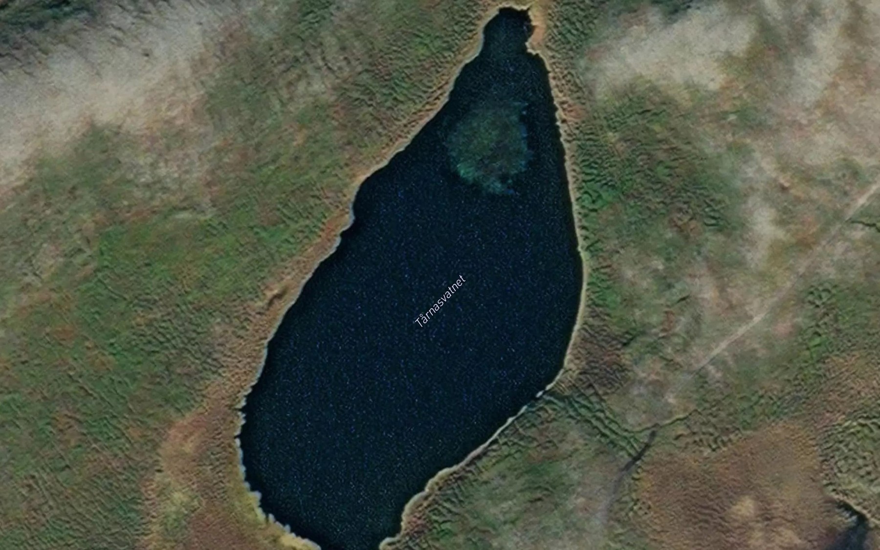 Satellite map of the Tarnasvatnet